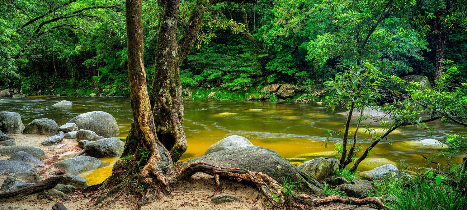 Mossman Gorge: Category - Rivers