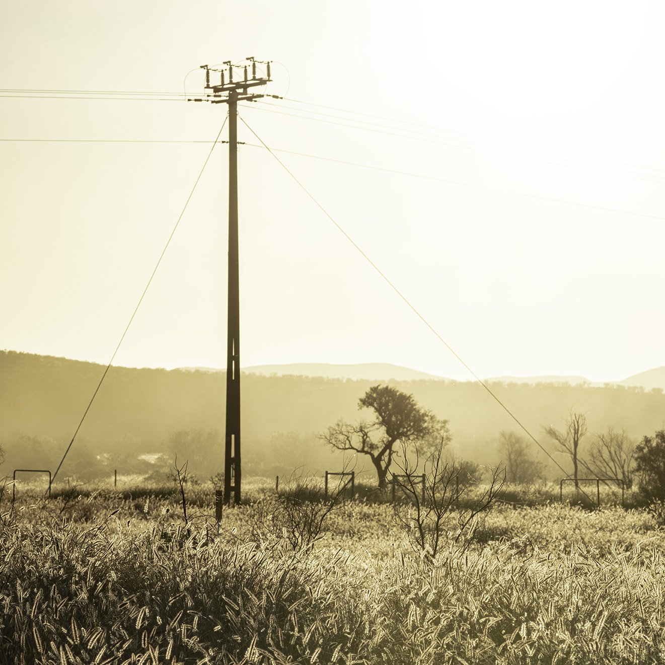 Grass Plains Outback Australia #3: Category - Fields