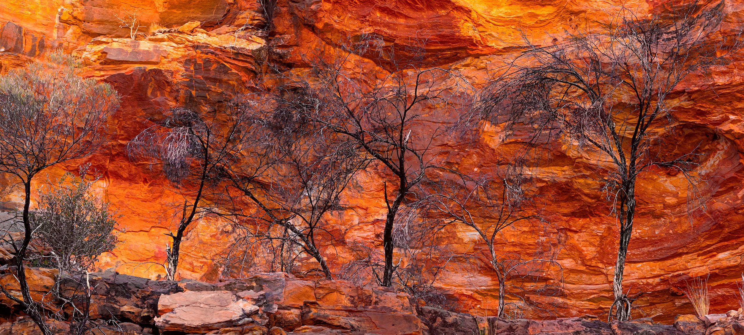 Red Rock Canyon: Category - Deserts