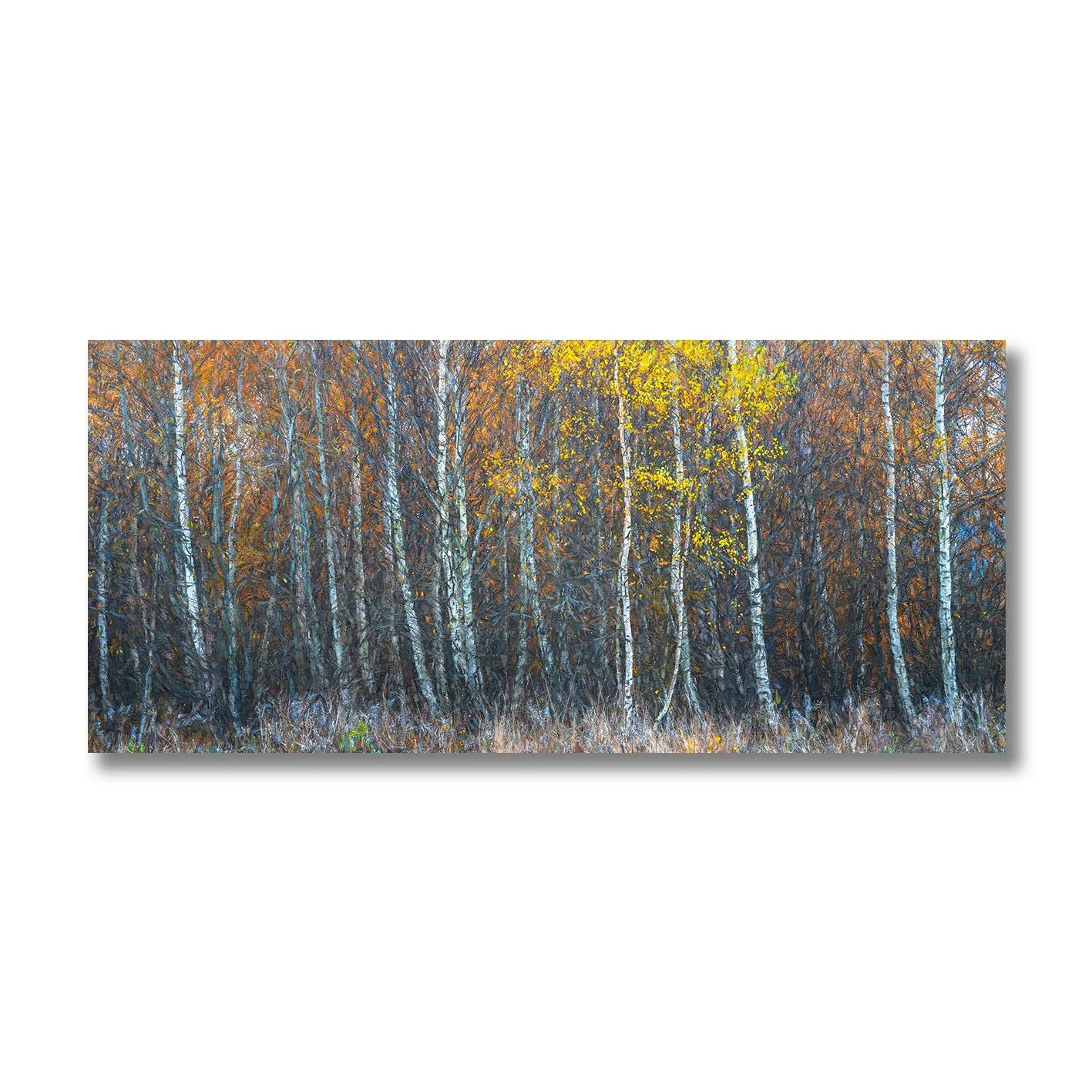 autumn-sonata-nikart.jpg