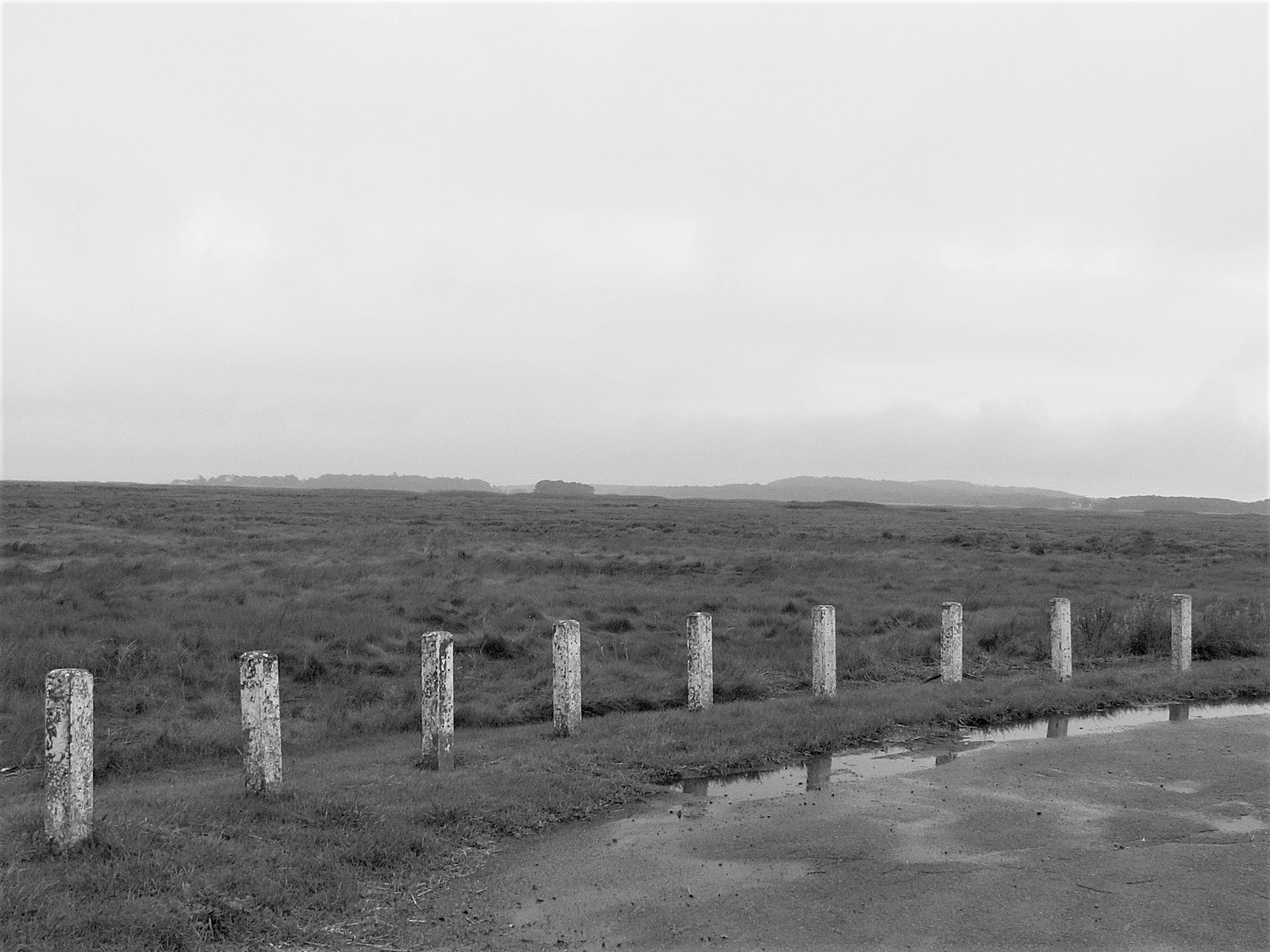 PICT0137.JPG