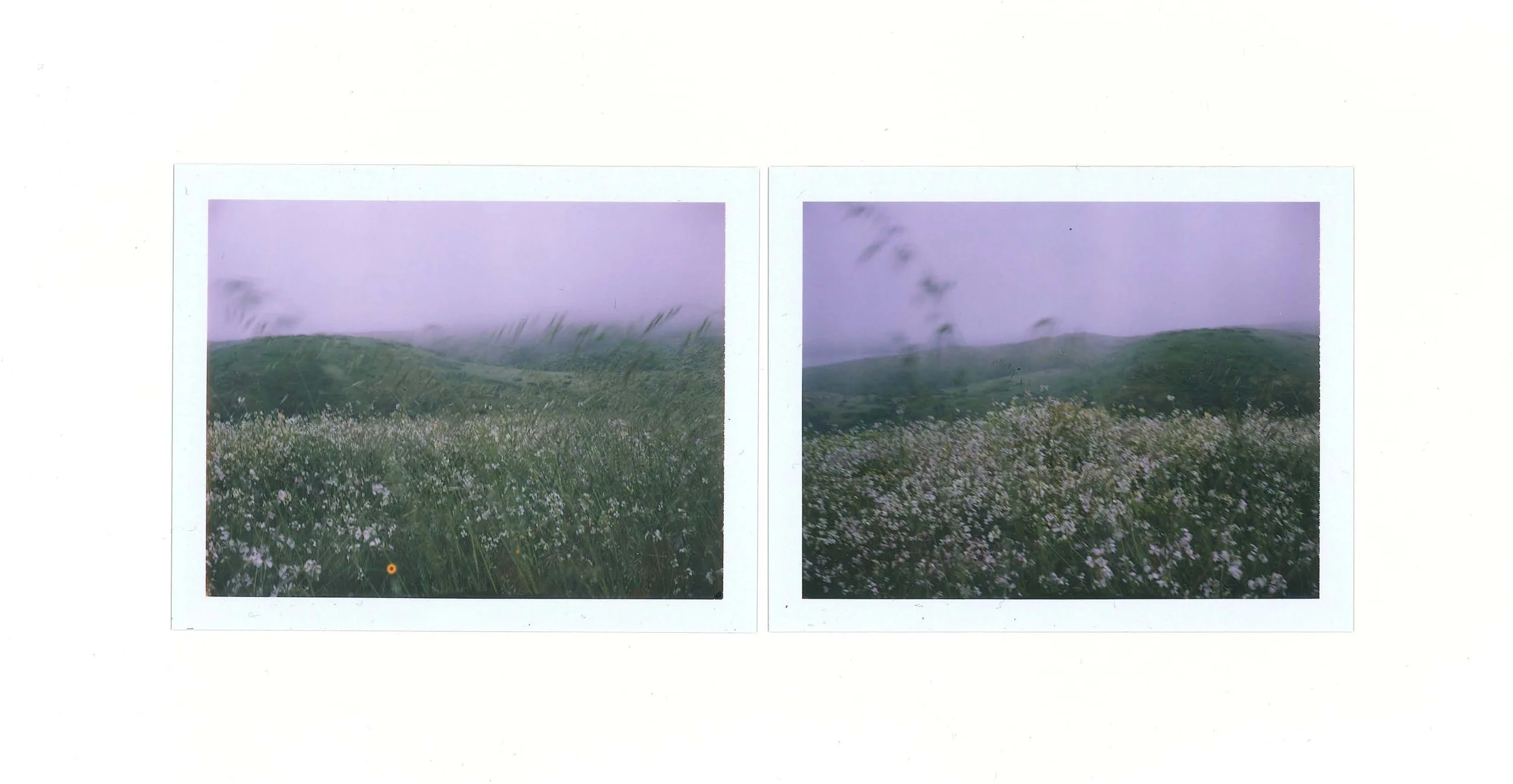 2023_PT Reyes3_crop.jpg