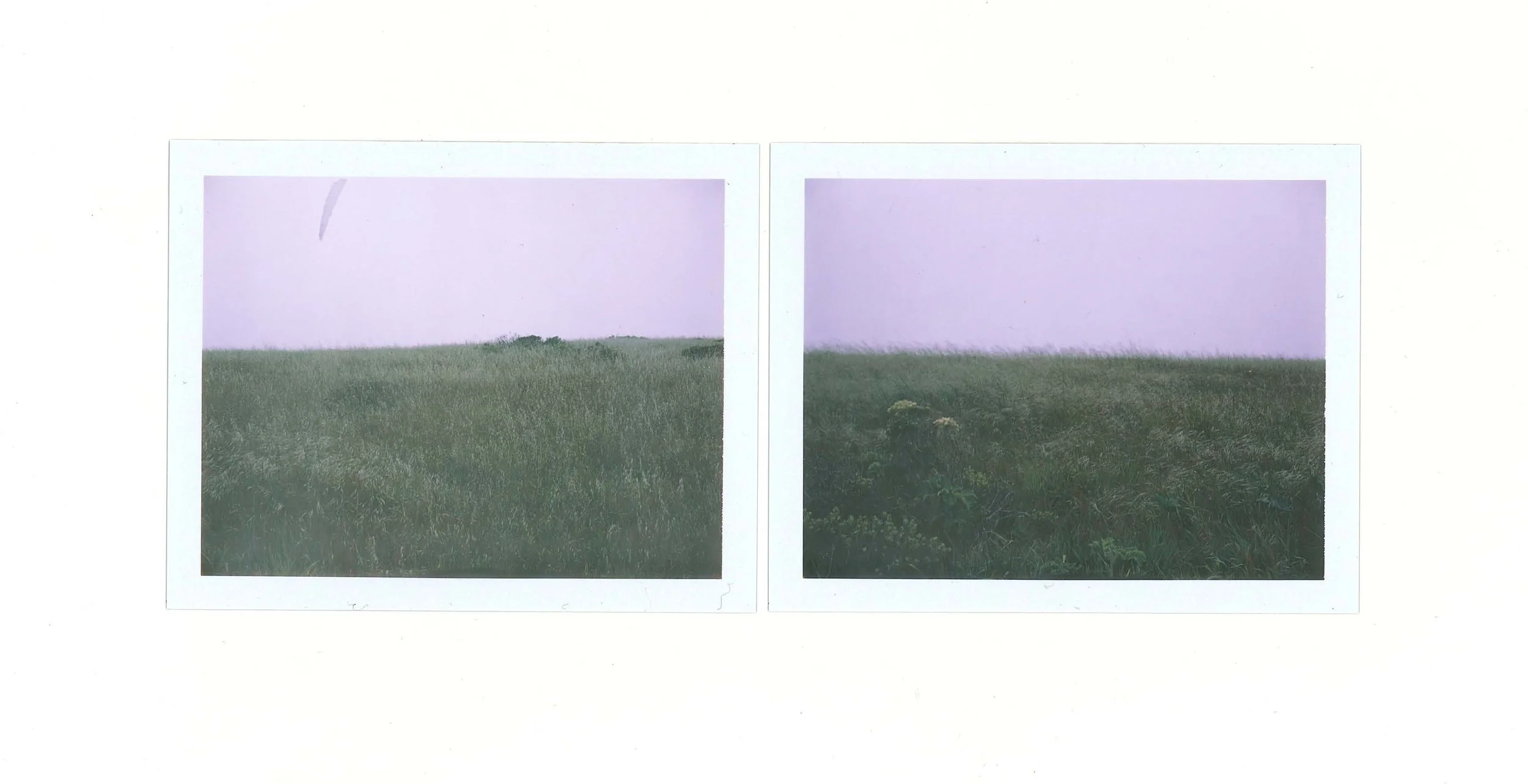 2023_PT Reyes2_crop.jpg