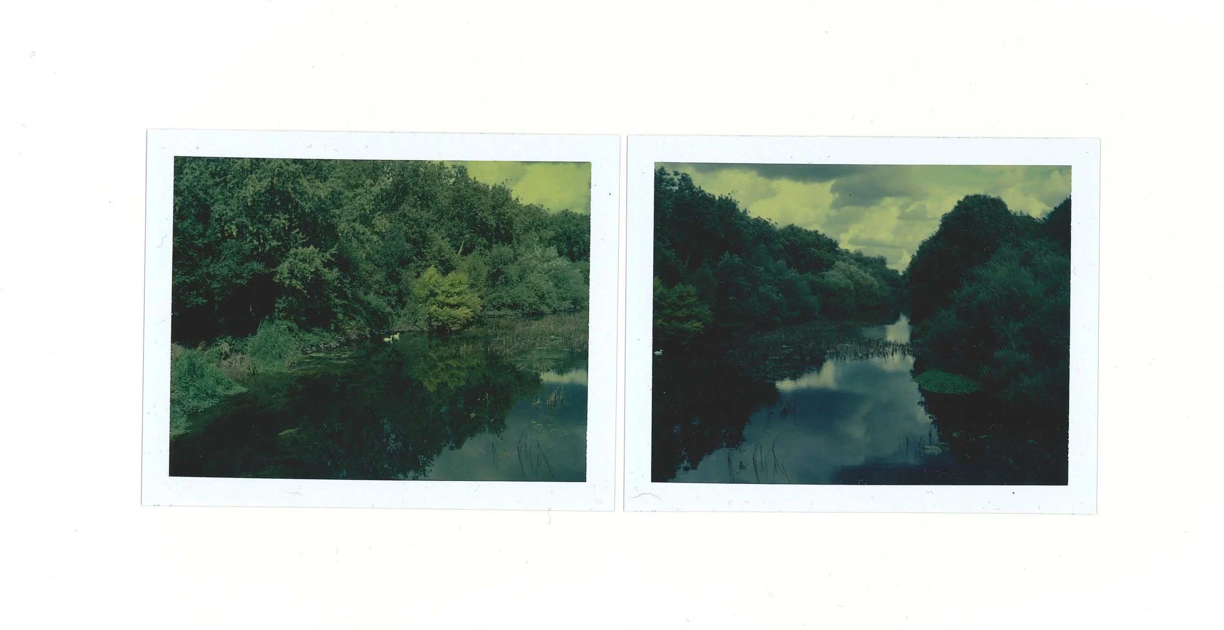 2023_Hampstead Heath2_crop.jpg