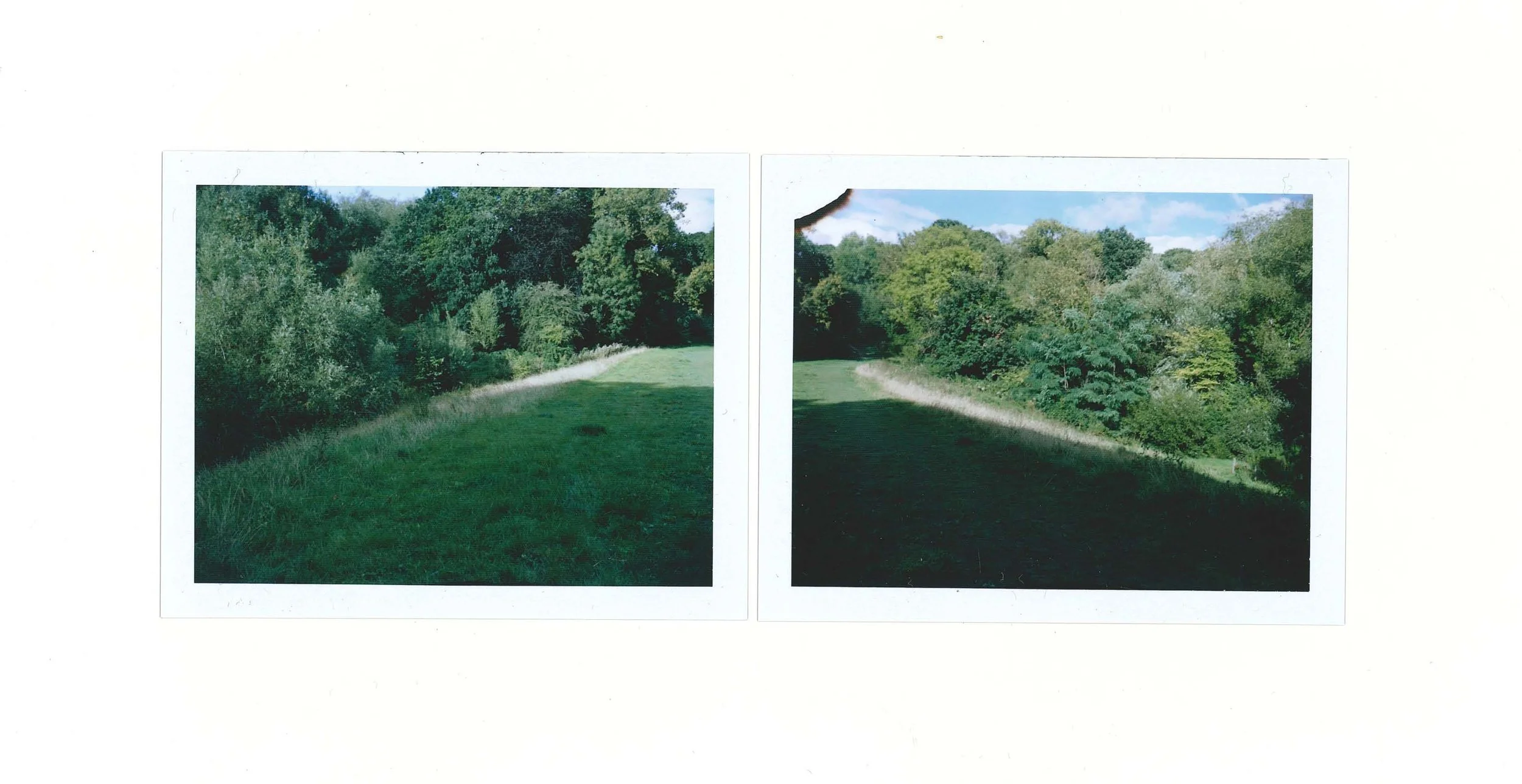 2023_Hampstead Heath_crop.jpg