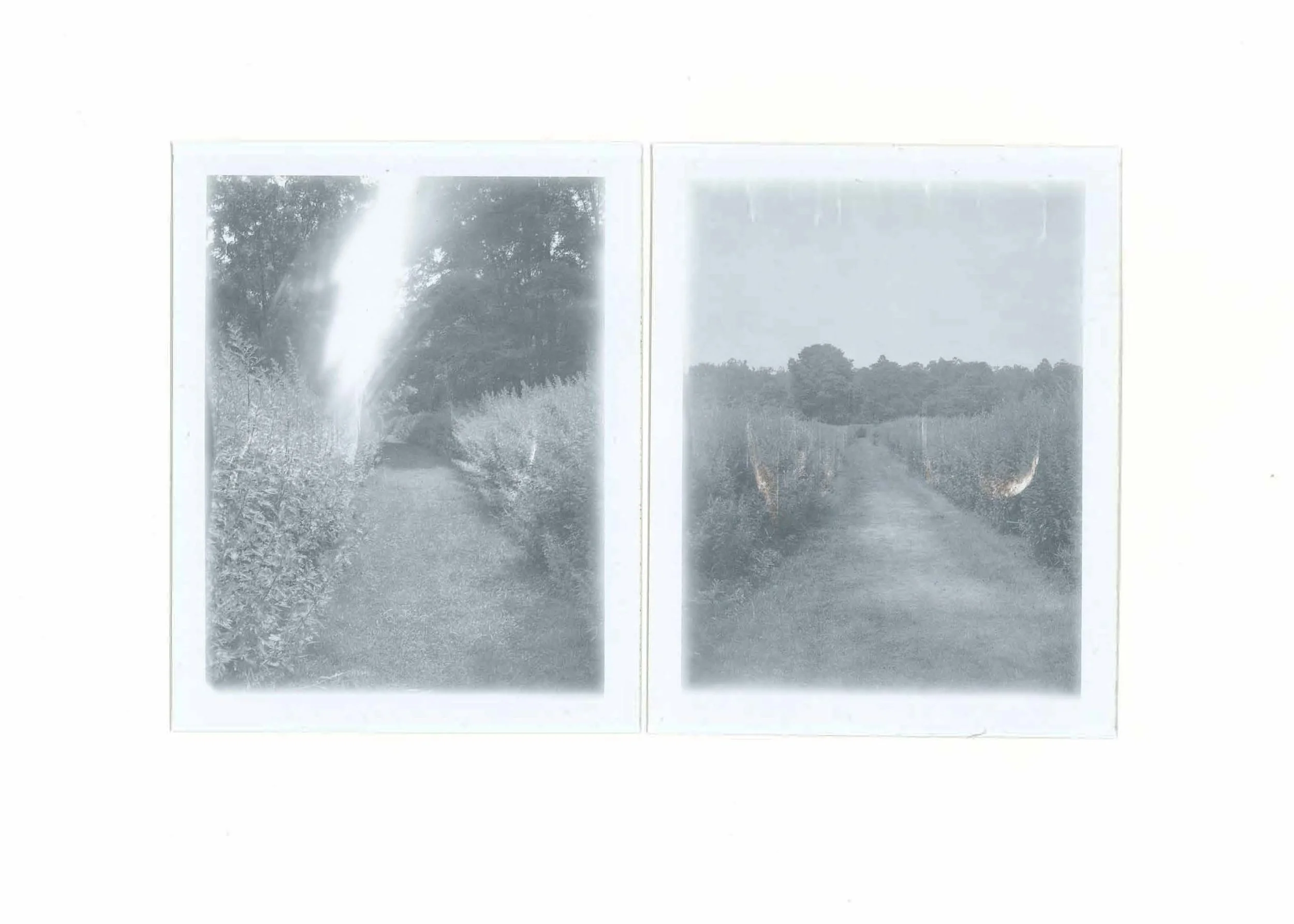 2025_mawignack trail_crop.jpg