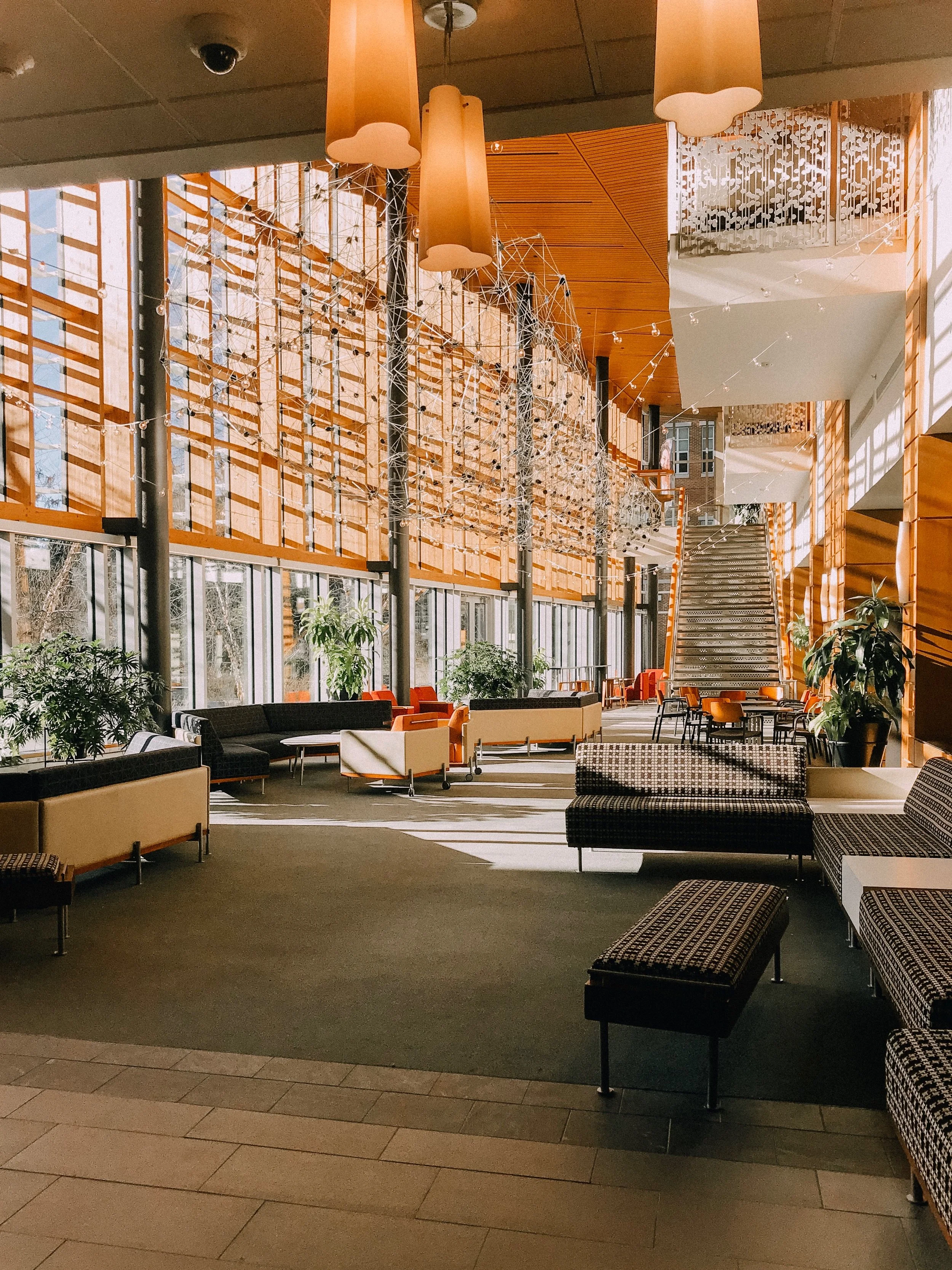 what college has taught me