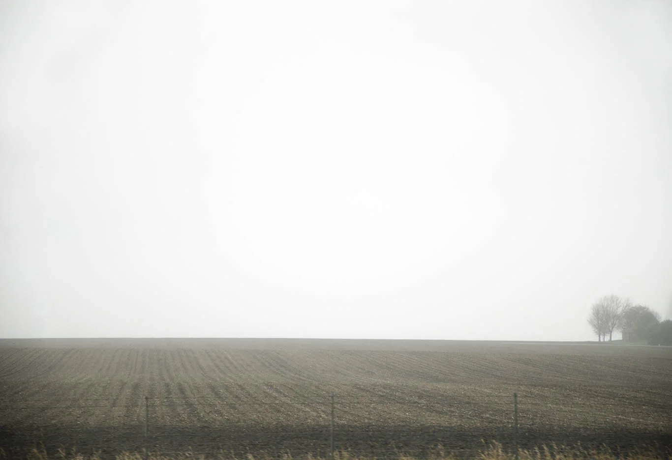What's out there 4.jpg