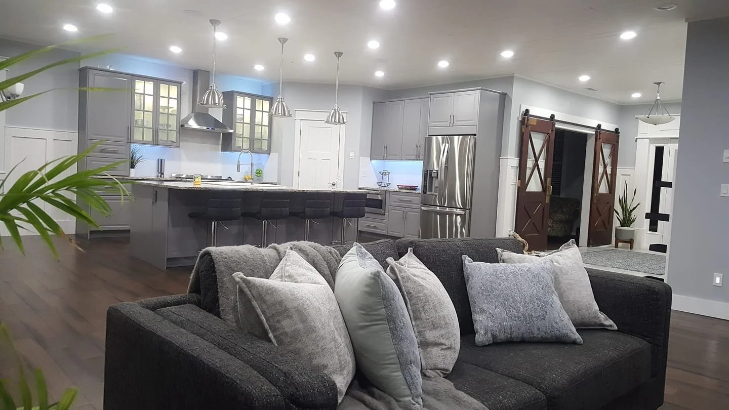 Kitchen and Living Room Renovation