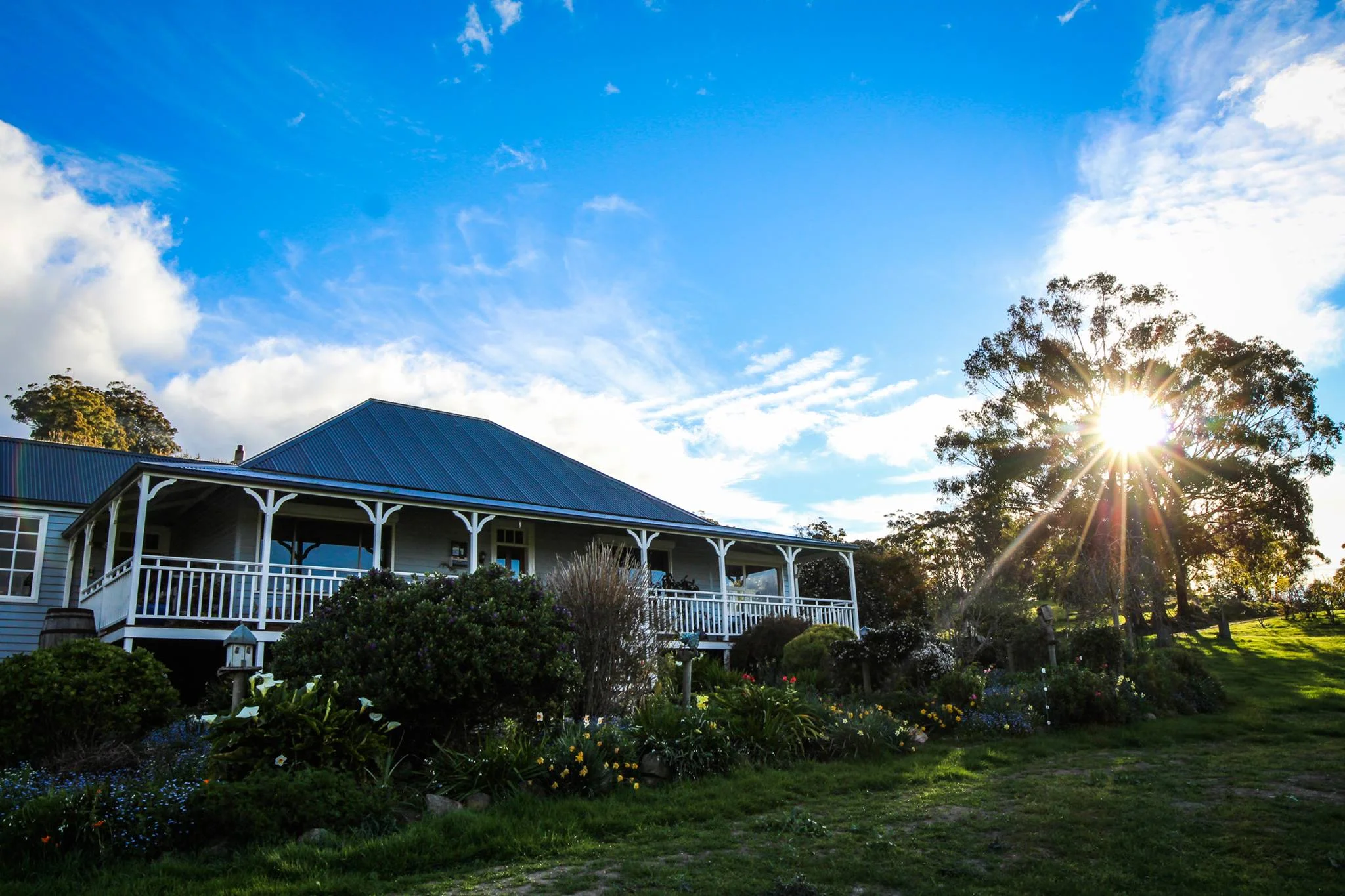 Hit the Trail and enjoy the finest produce the Huon Valley has to offer.