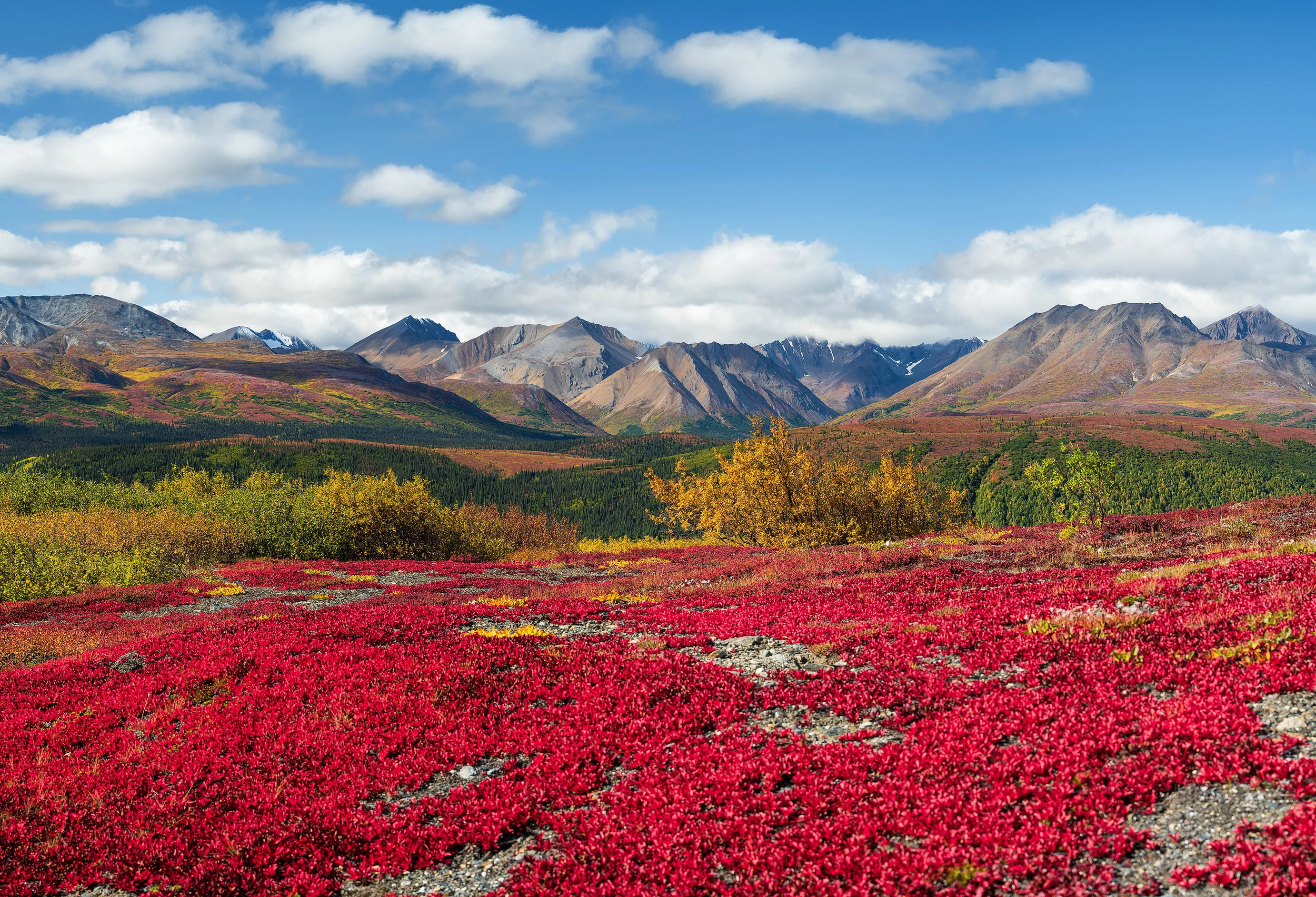 01 Reindeer Hills Pano18.jpg