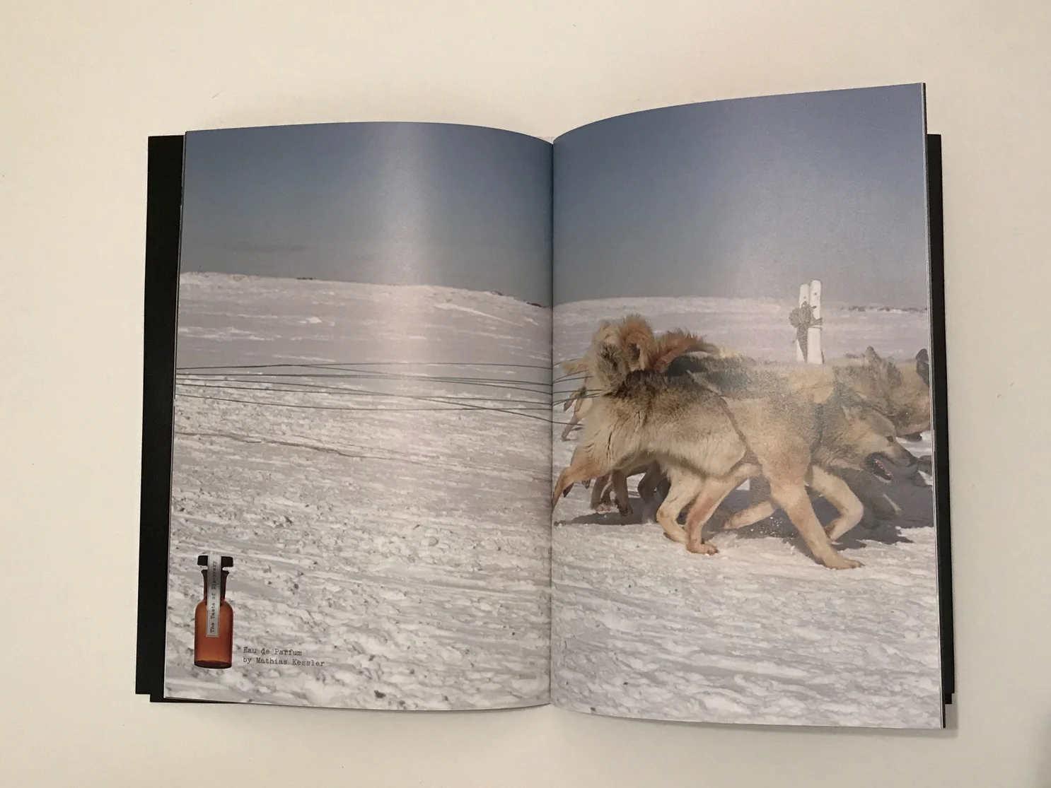 Exhibition catalogue design, publication design, printed matter, Kunstraun Dornbirn gallery, Mathias Kessler, EA Projects, Elizabeth Azen