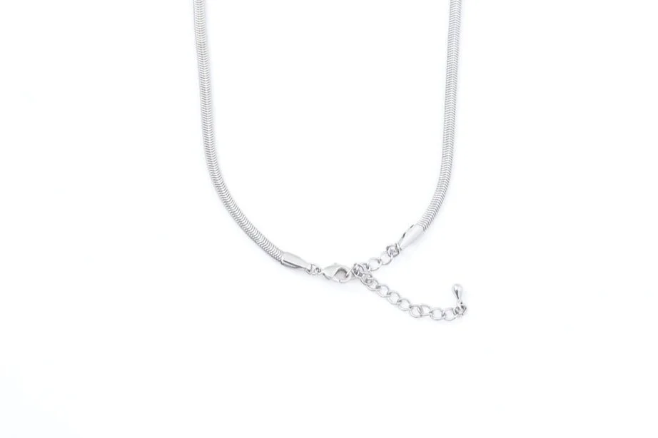 N7198.jpg