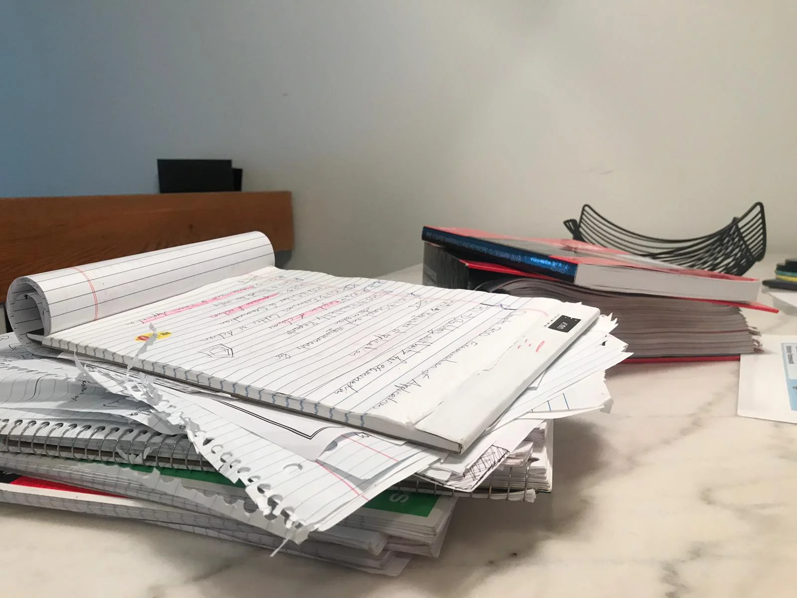Las acumulación de libretas que utilicé durante mi preparación para este examen. La carpeta y el libro que se encuentran detrás de las libretas son el material de PLI, el manual que utilicé.