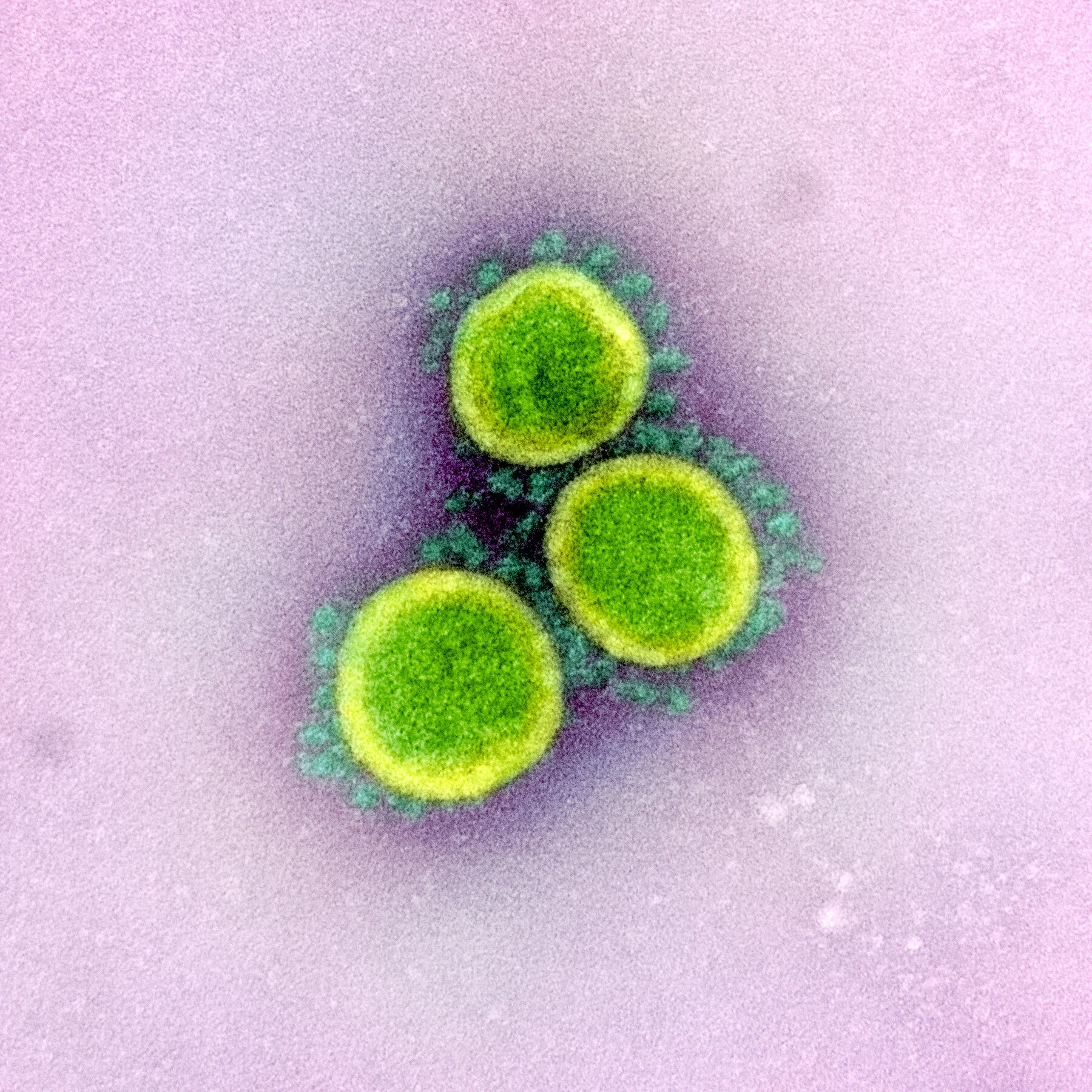 Dr. Madhavi Dandu &amp; Dr. Elizabeth Fair