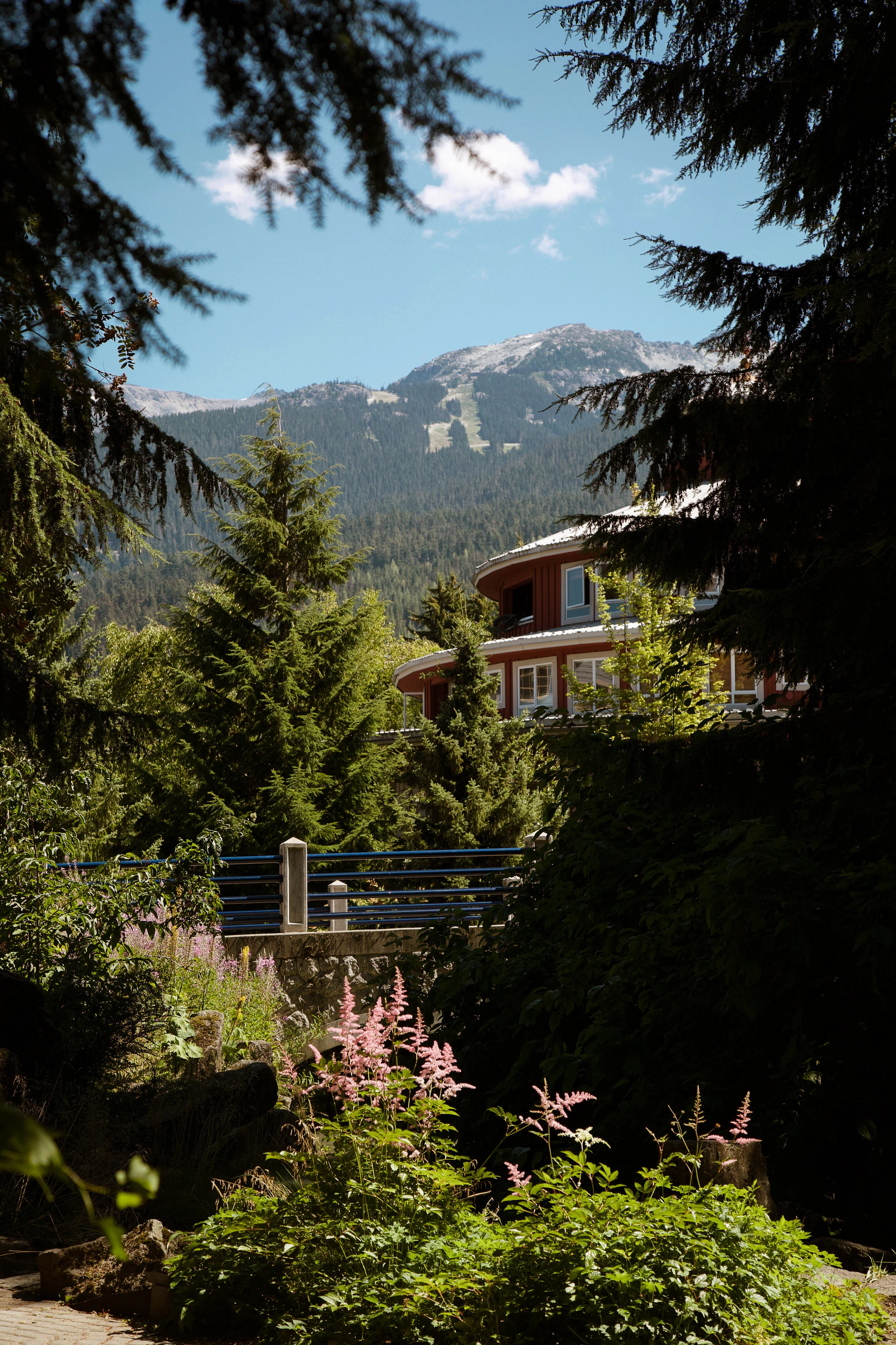GROUNDS OF WHISTLER