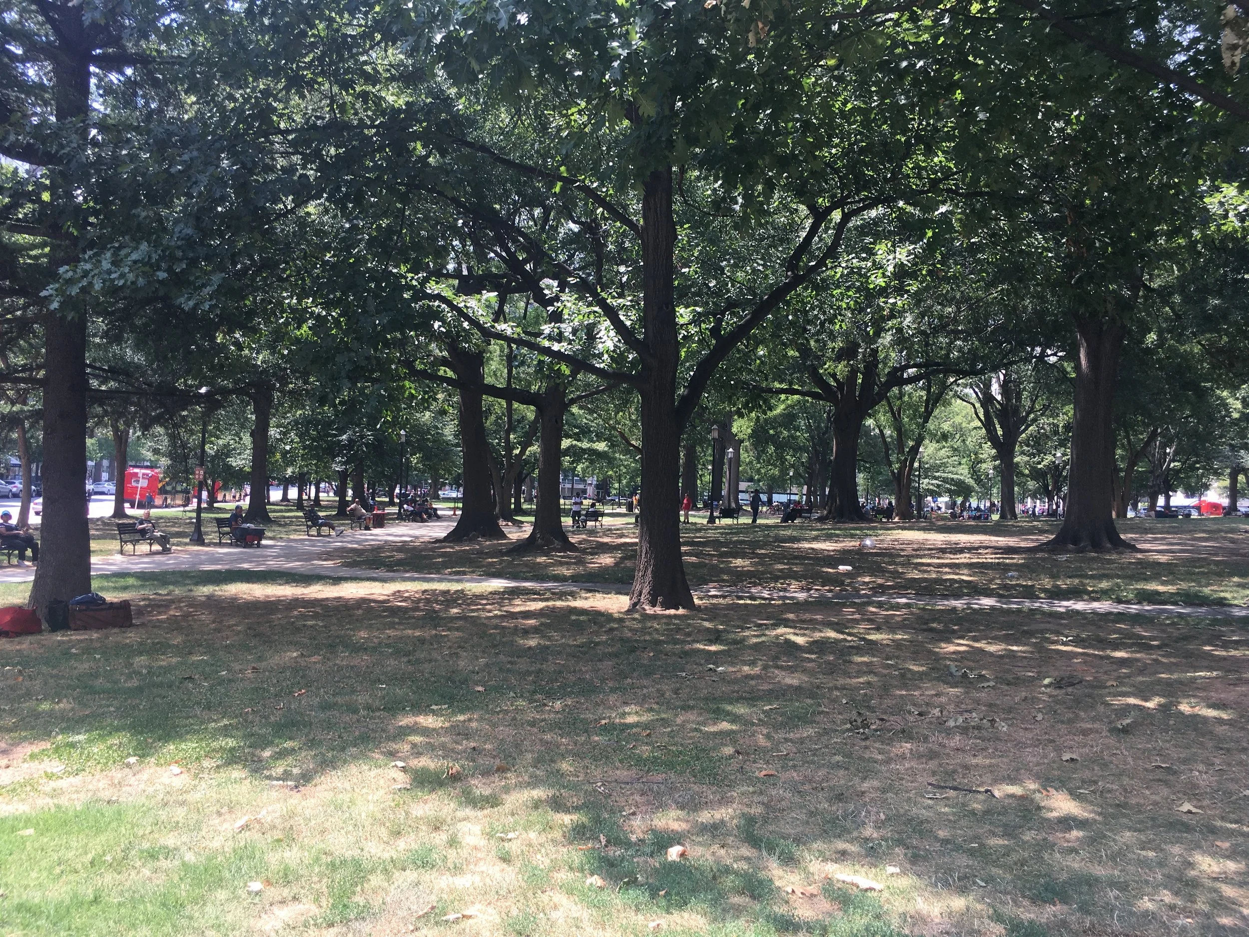 IMG_3040.jpeg