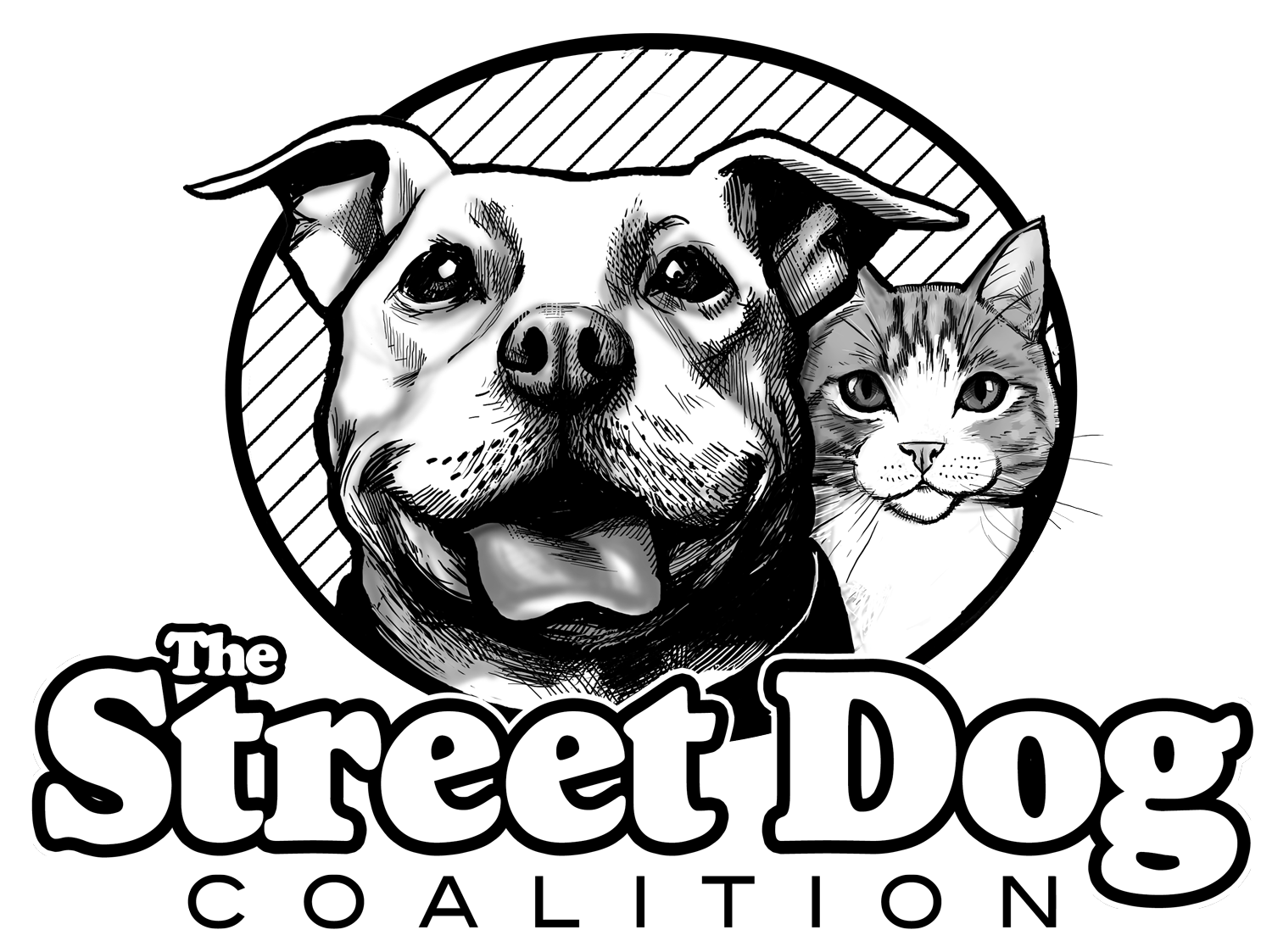 Dog street Short Essay