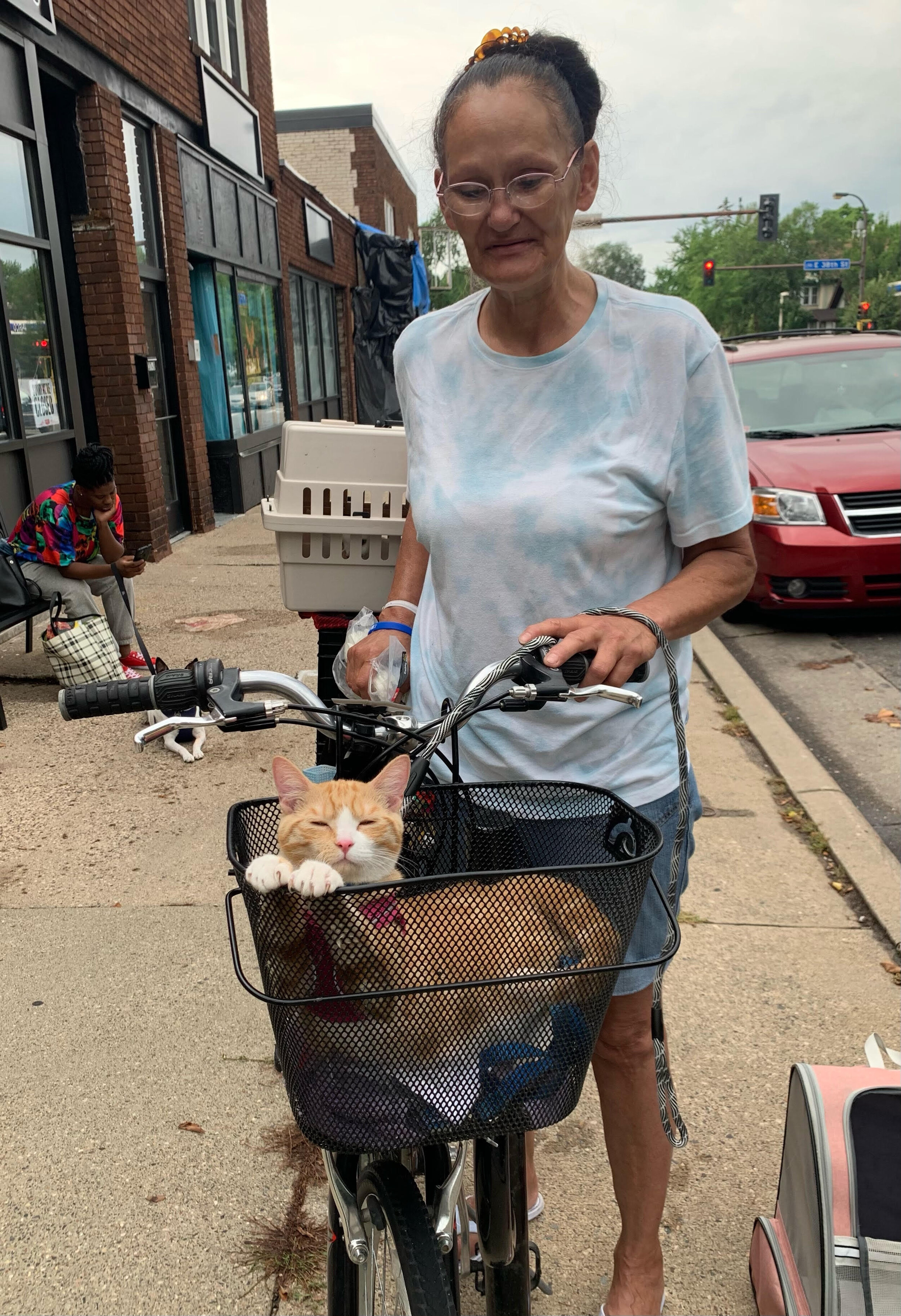 kitty cat in a bike basket.jpeg