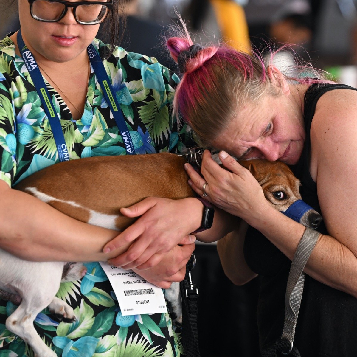 7.16.23 | Denver, CO, photo by Helen H. Richardson/The Denver Post