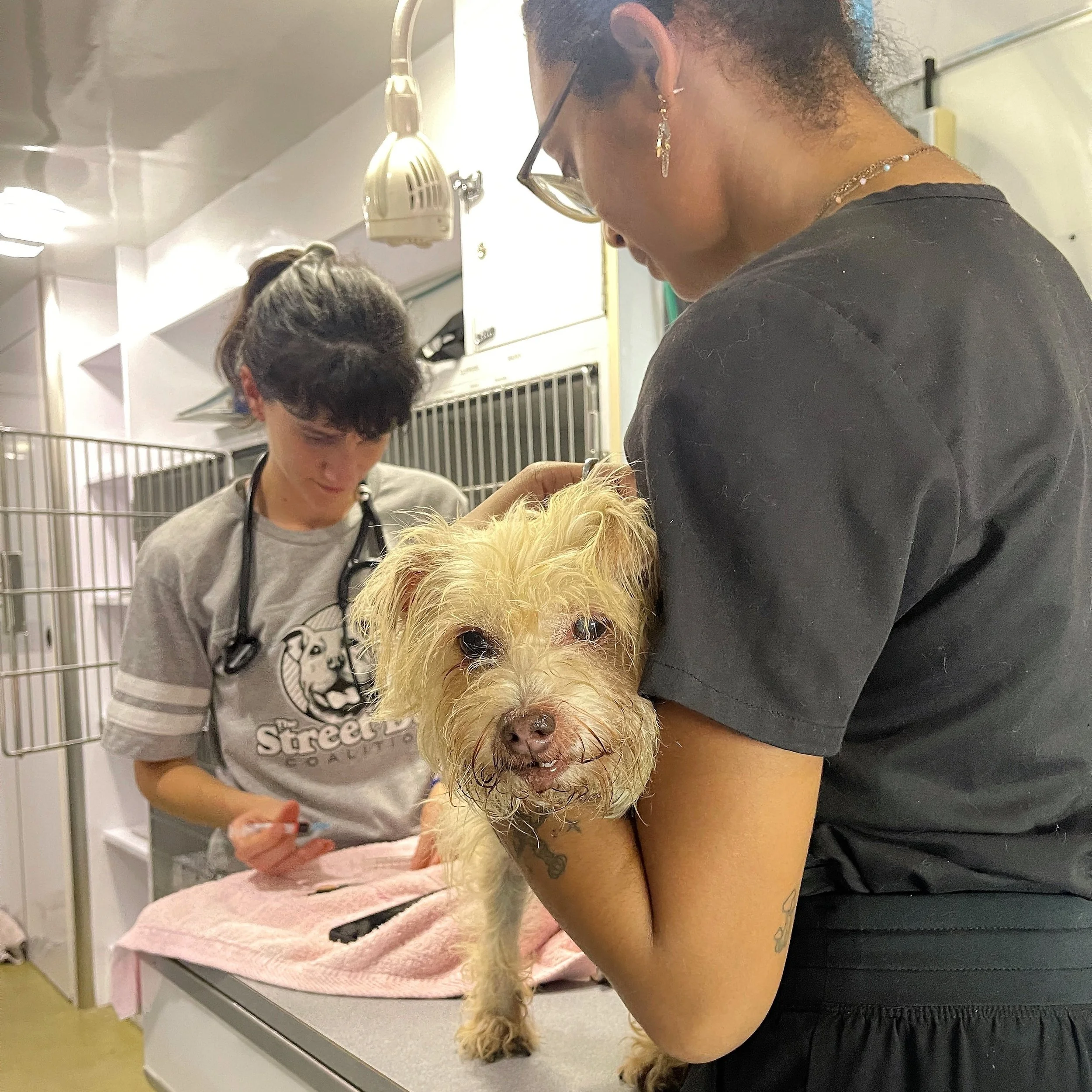 9.13.23 | Broward County, FL