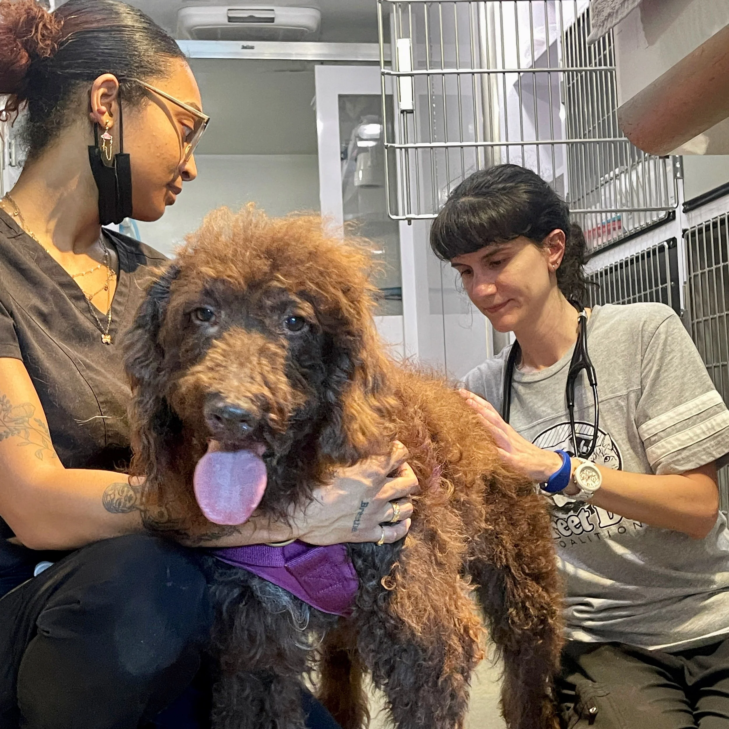 9.13.23 | Broward County, FL