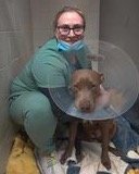 10.23 | Dr. Kate and Baby Girl after spay surgery.