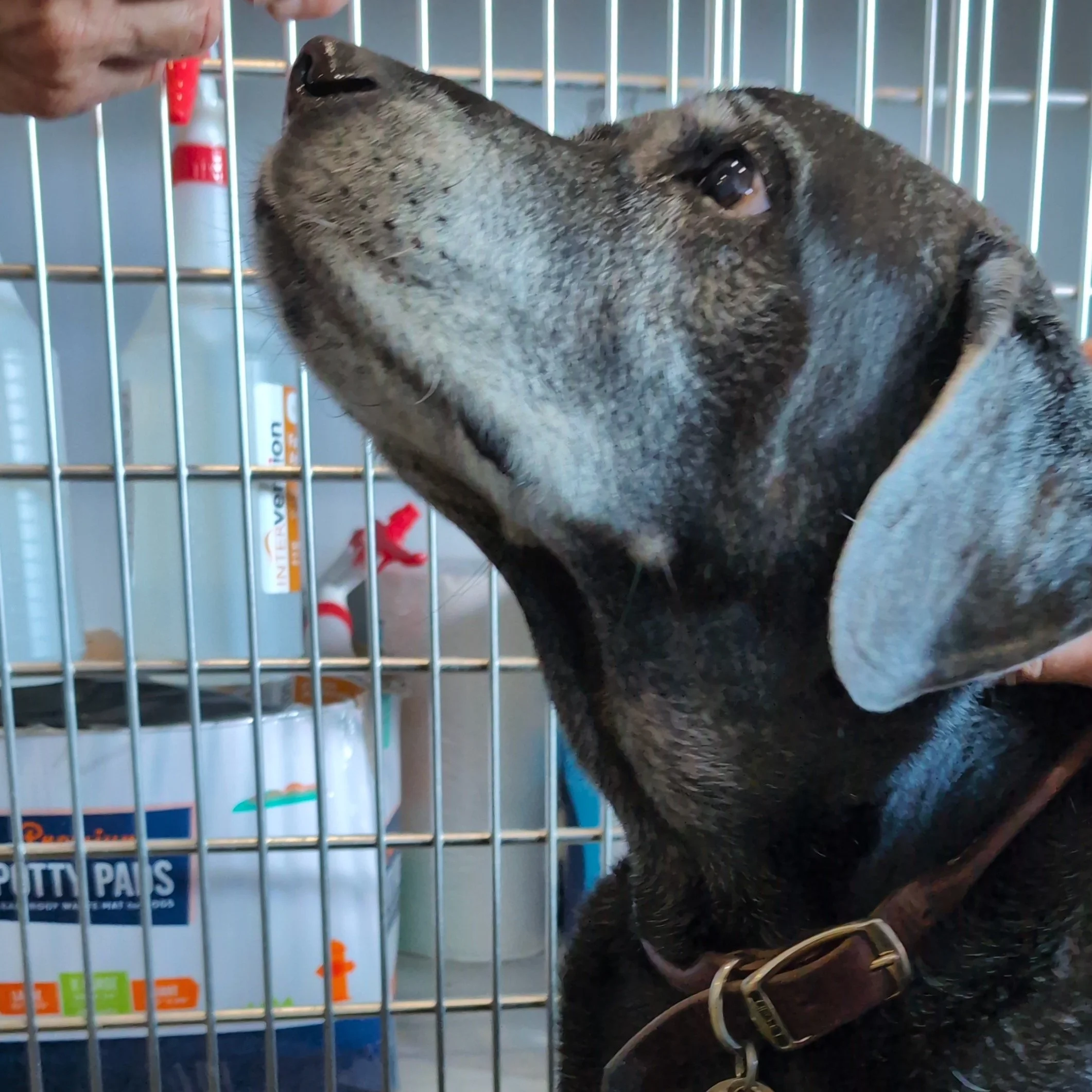 4.17.24 | Broward County, FL