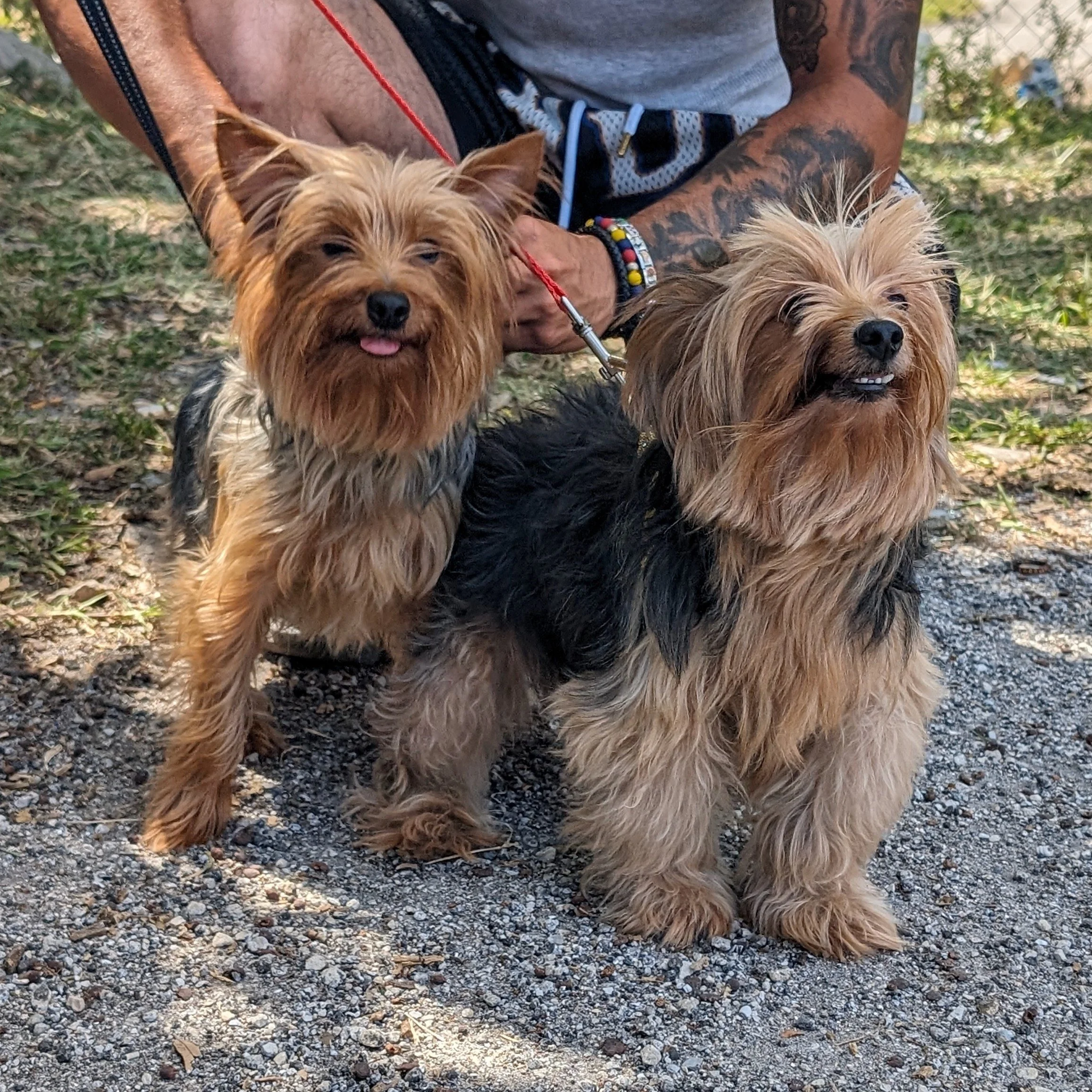 4.17.24 | Broward County, FL