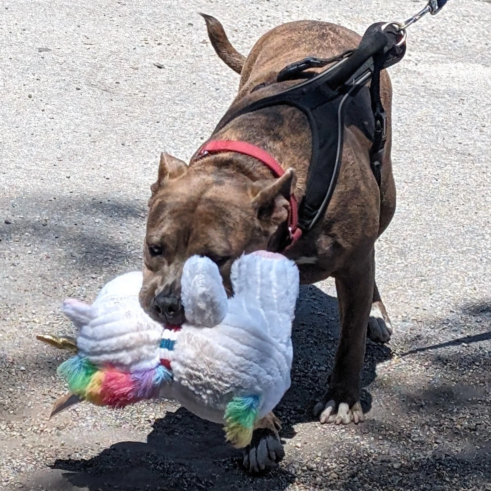 4.17.24 | Broward County, FL