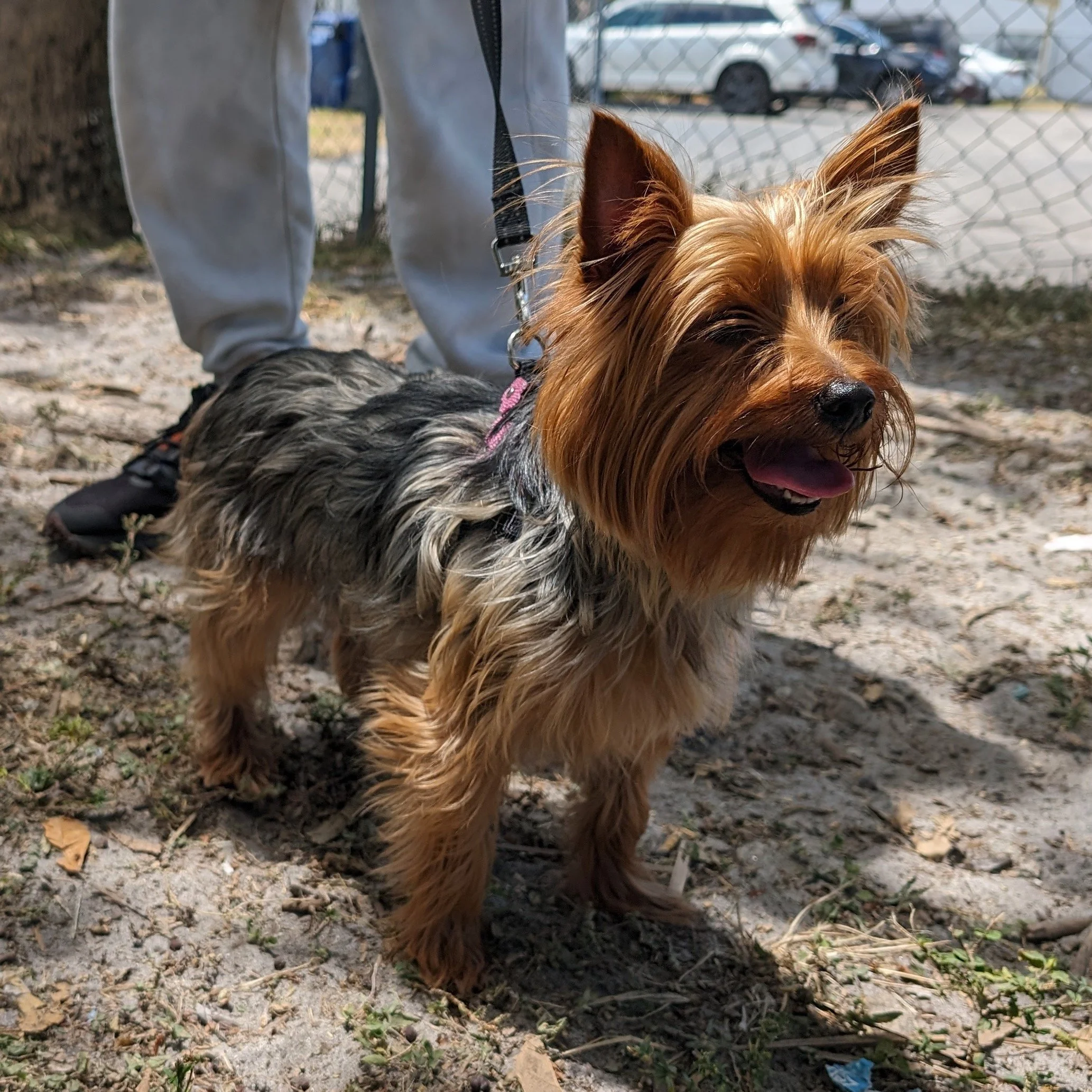 4.17.24 | Broward County, FL