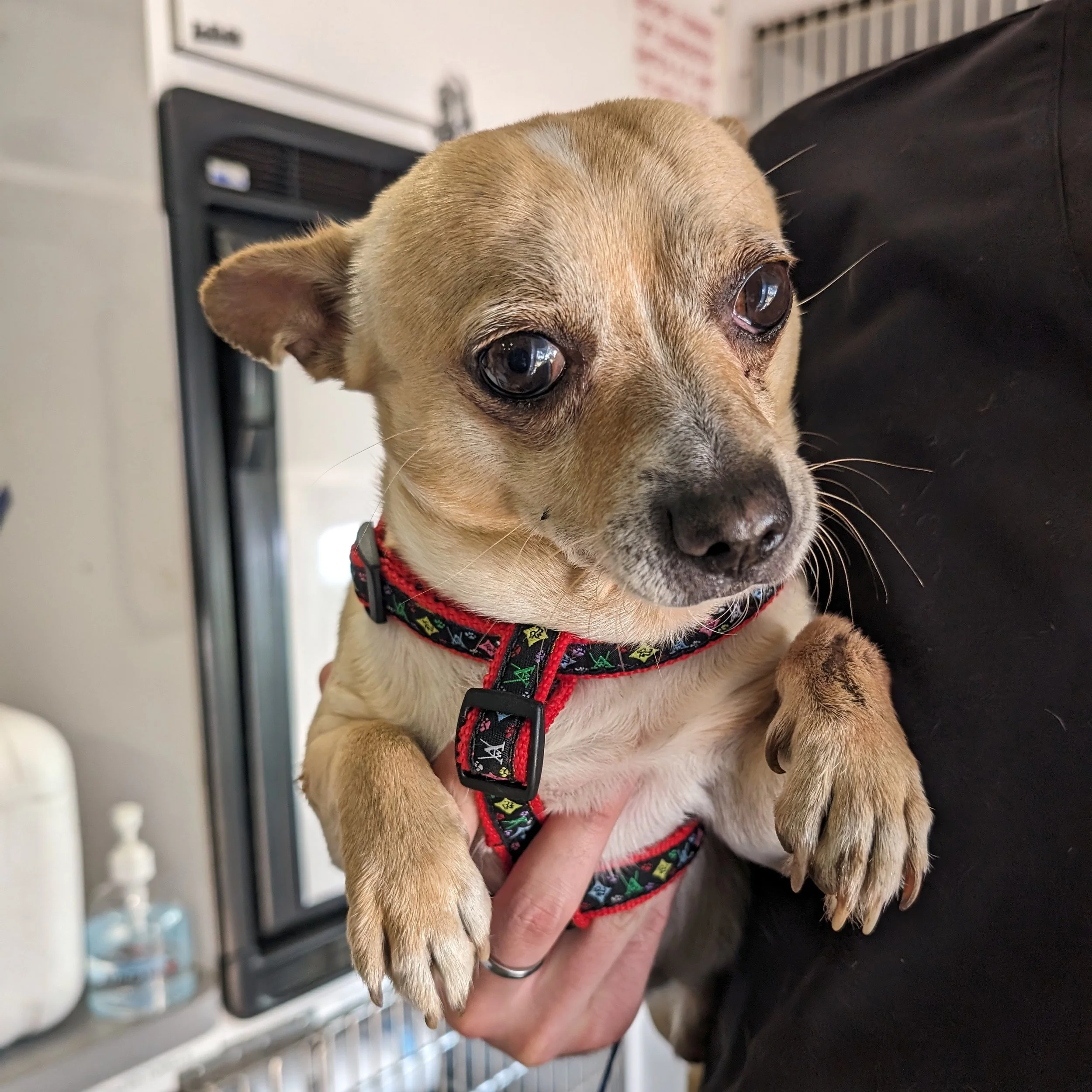 4.17.24 | Broward County, FL