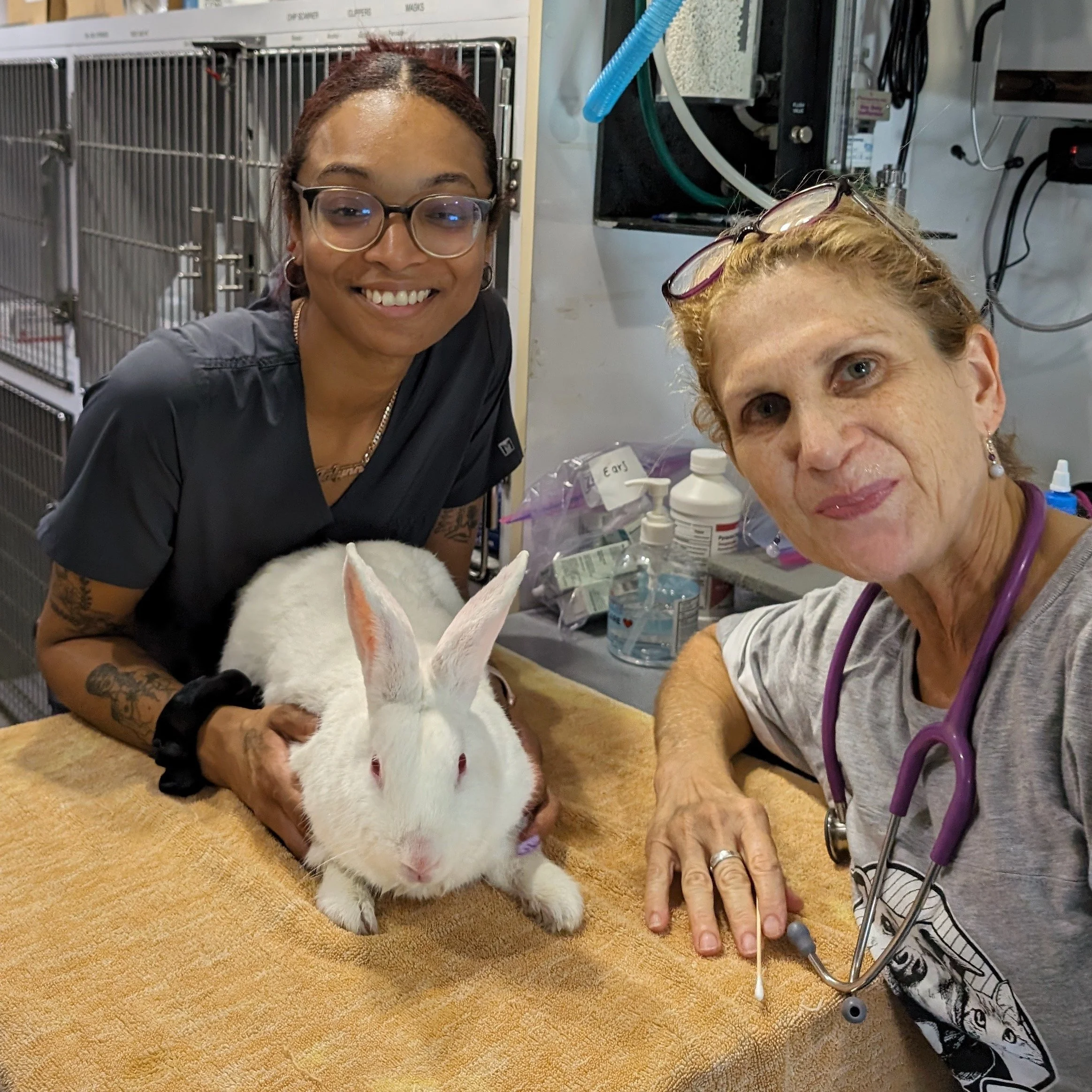 6.17.24 | Broward County, FL