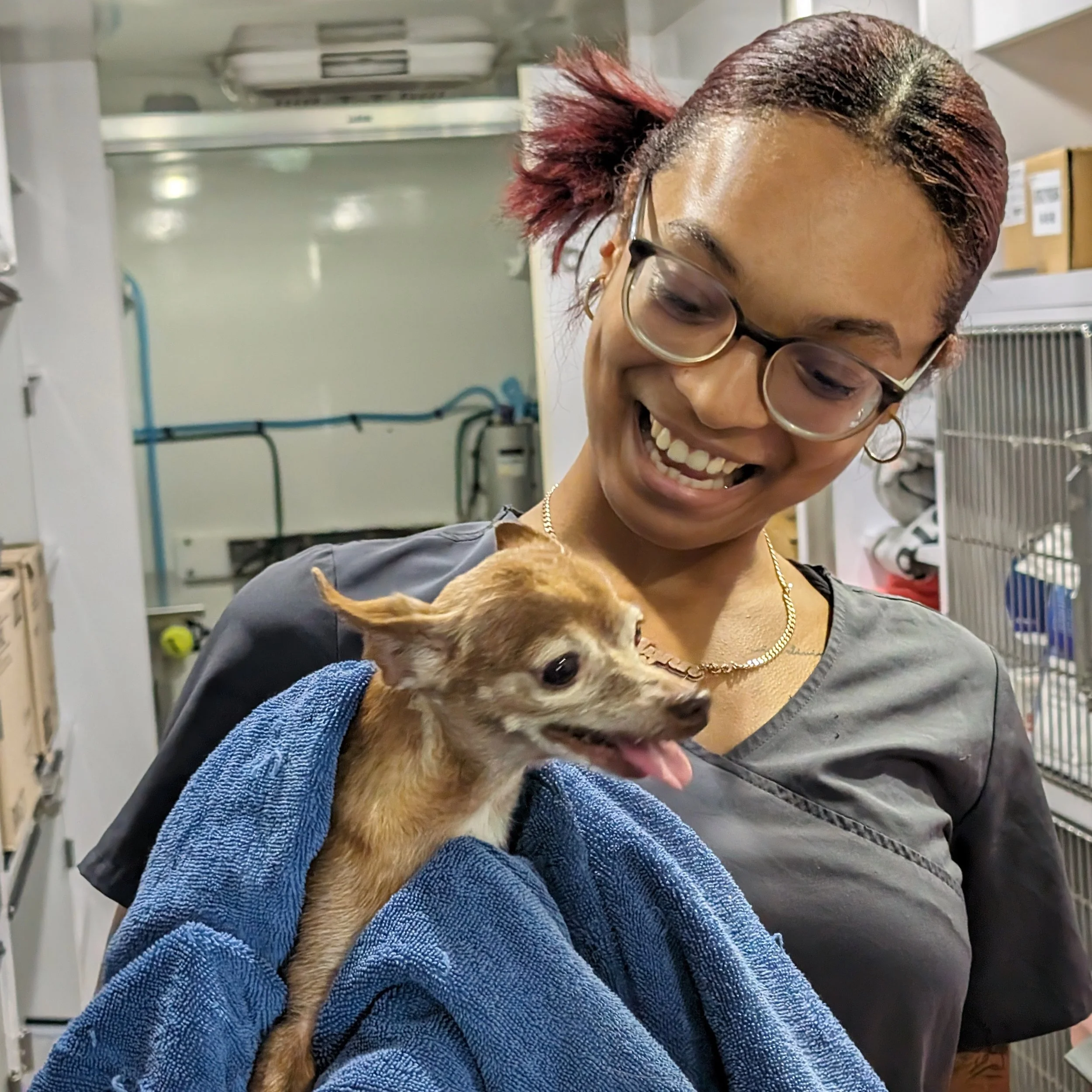 6.17.24 | Broward County, FL