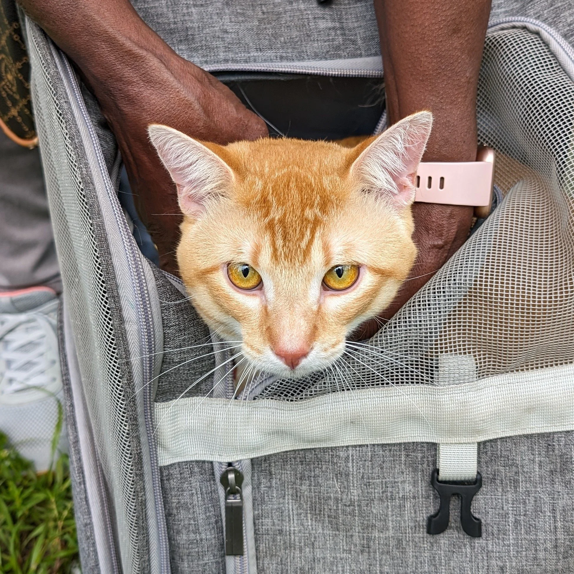 6.17.24 | Broward County, FL