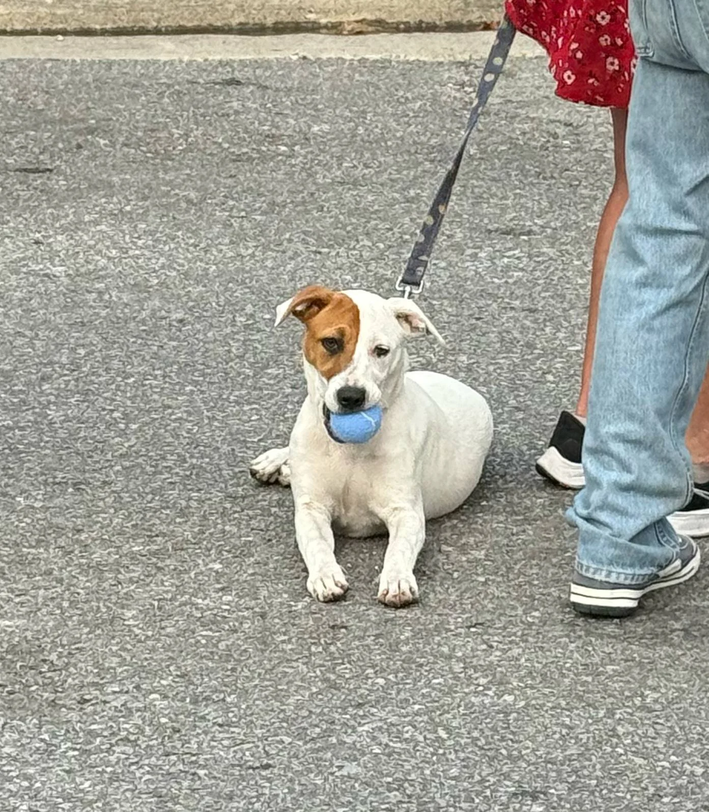 image2.jpeg