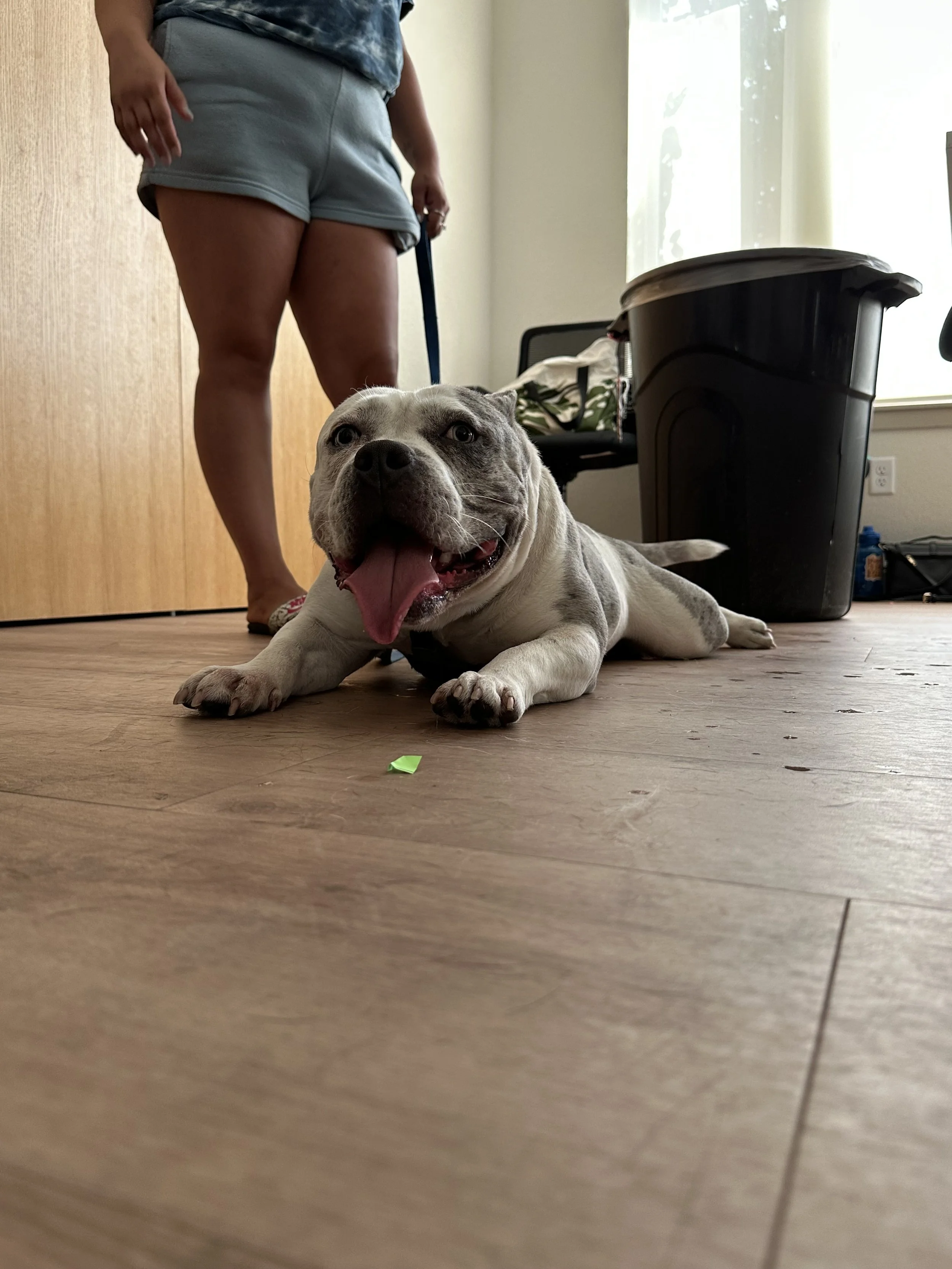 IMG_8681.jpeg