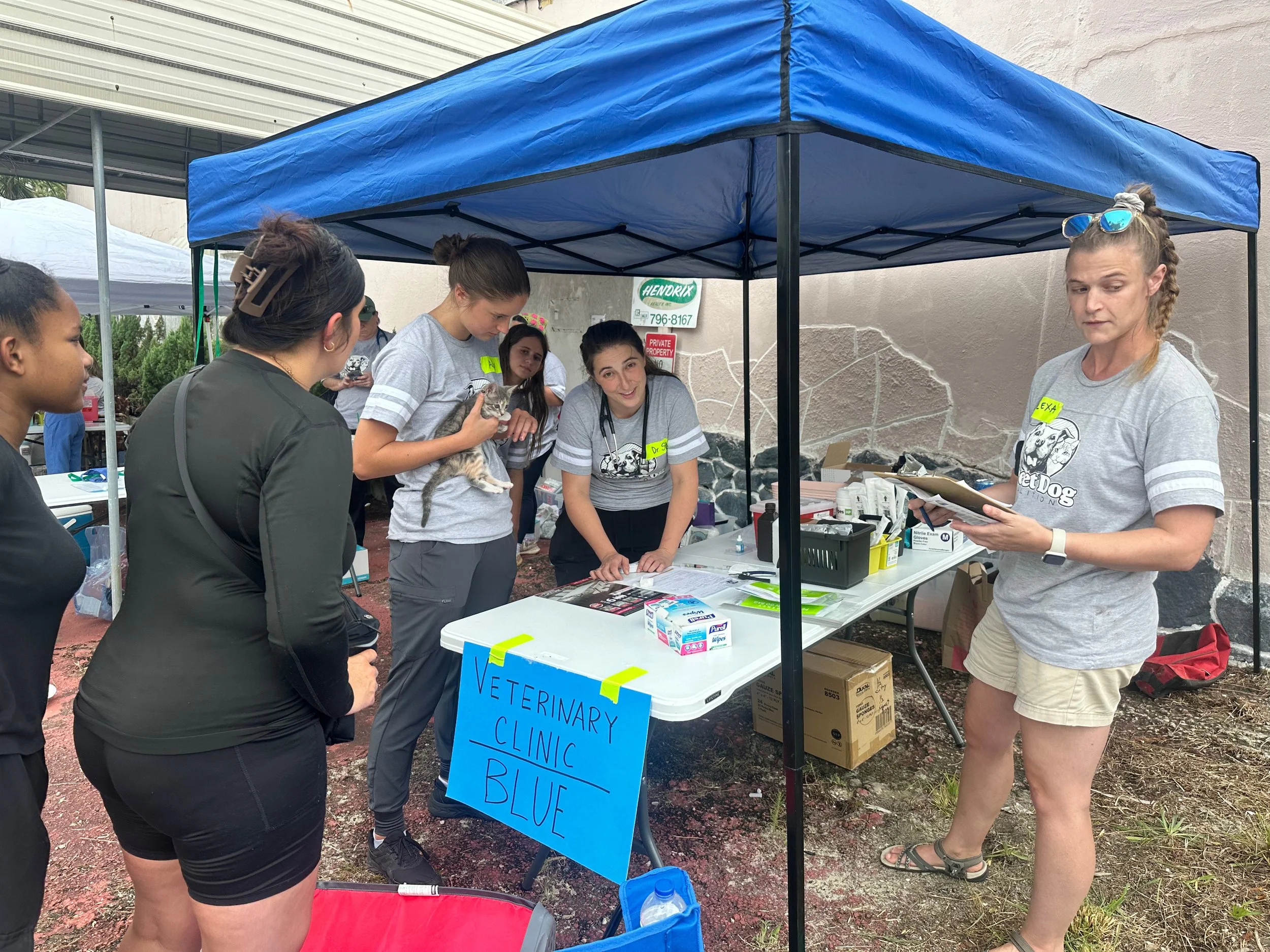 c4edcf17-4e2c-4e97-8573-83692b4d99a7.jpg
