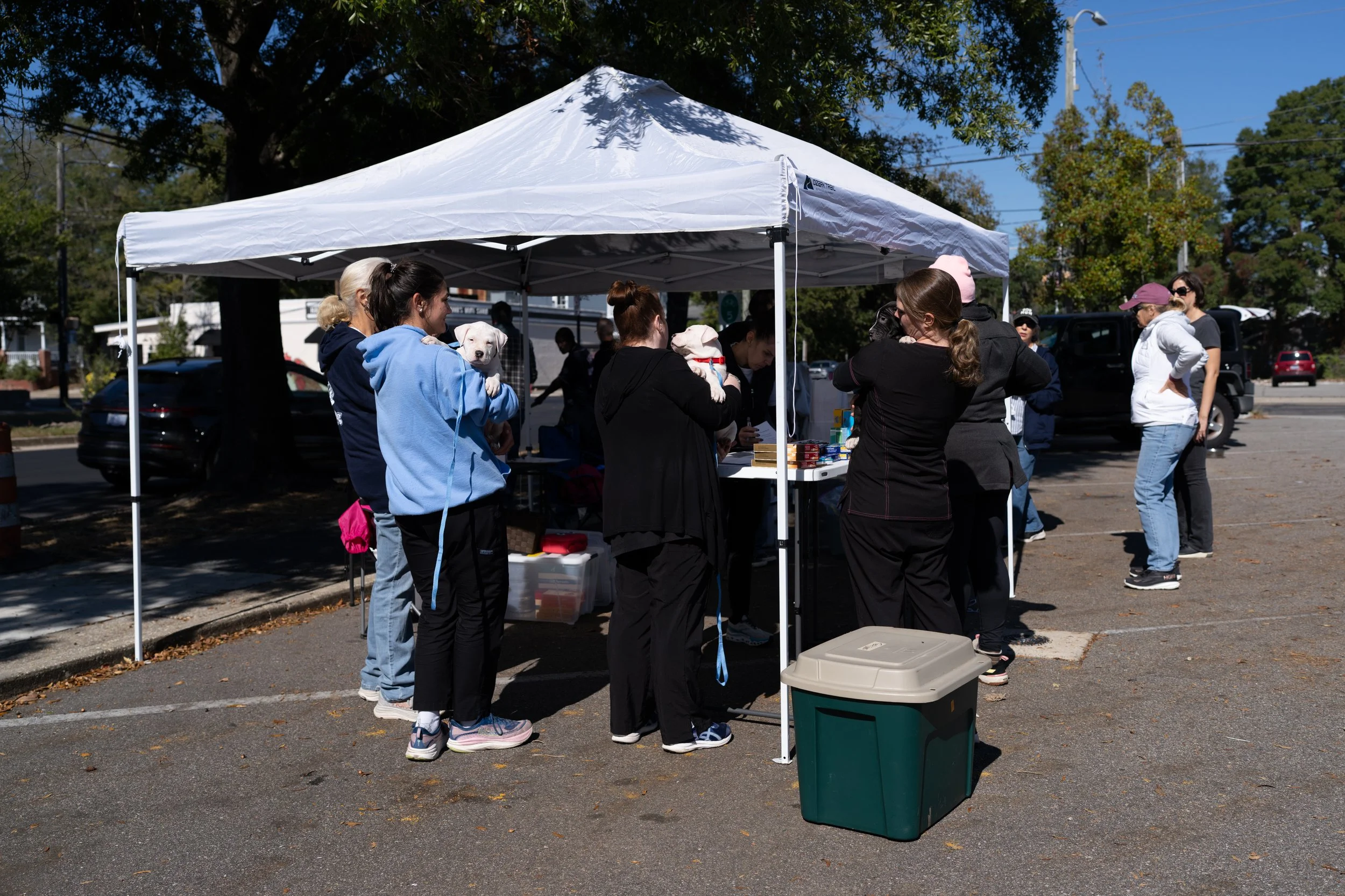 DSC03492.jpg