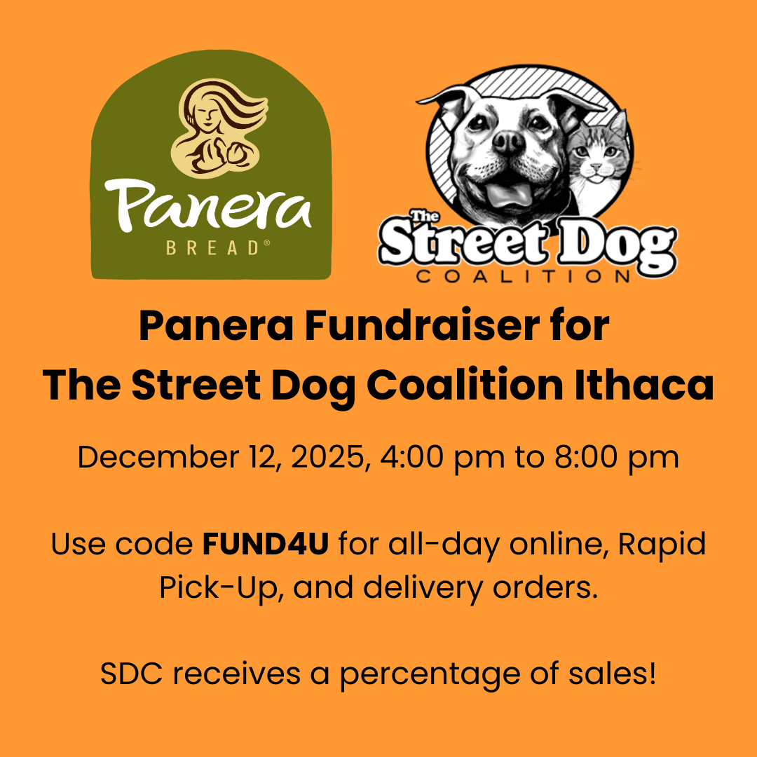 Panera Fundraiser for our Ithaca team!