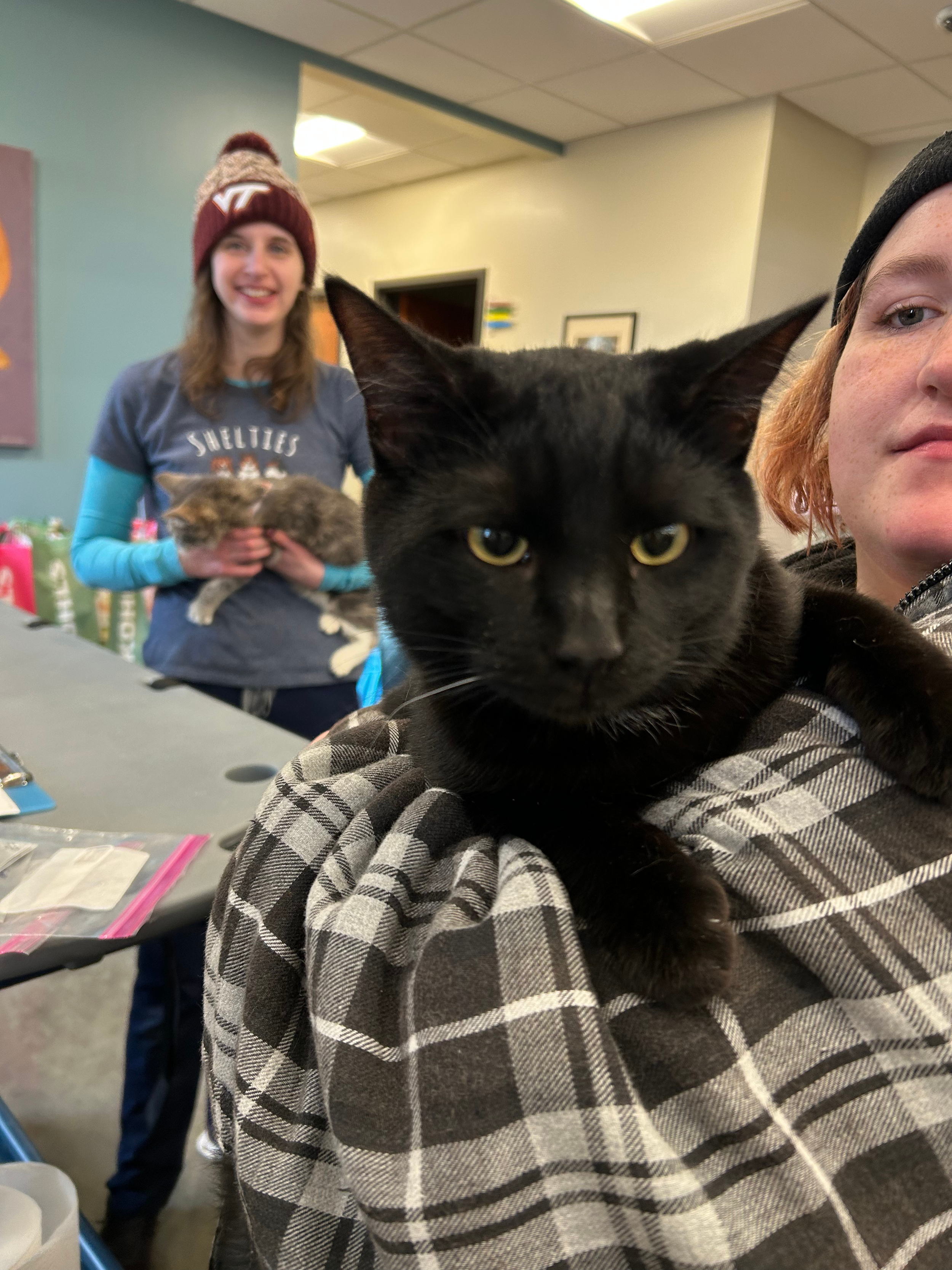 Untitled design (7).png