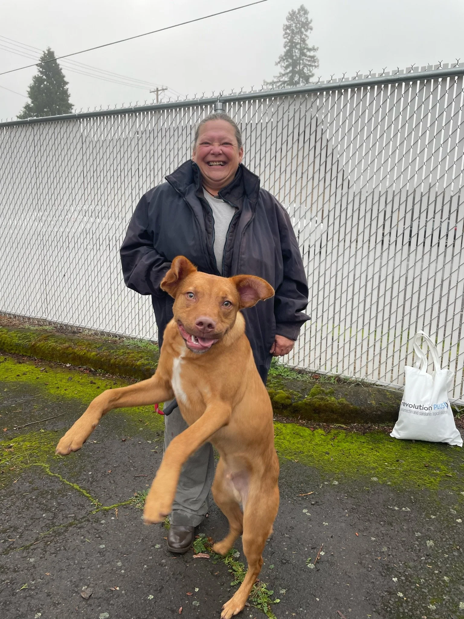 5C1CBAD1-C99D-4366-B8D0-1E7B2D043F3D (1).JPG