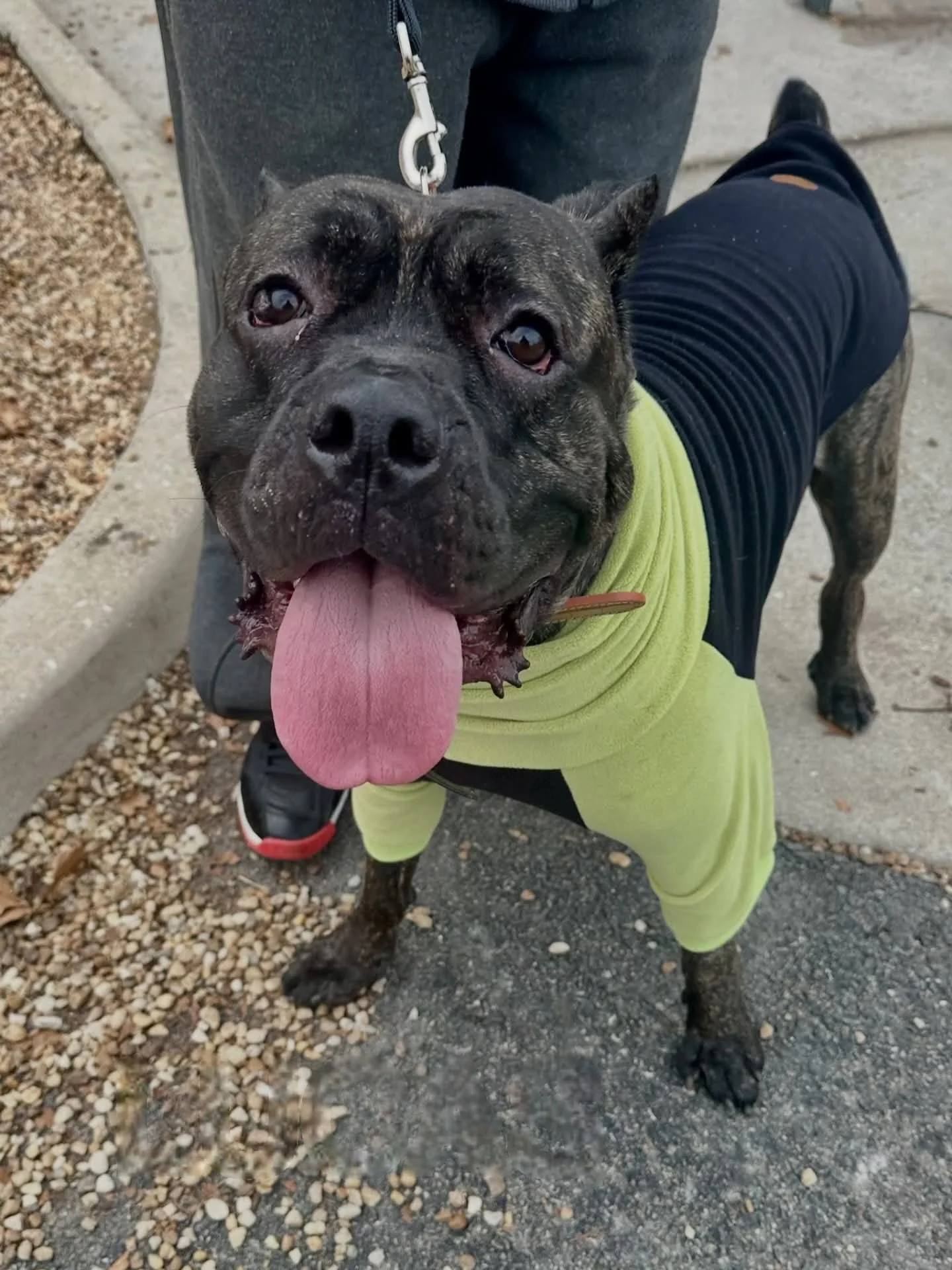 FB_IMG_1766071242750 (1).jpg