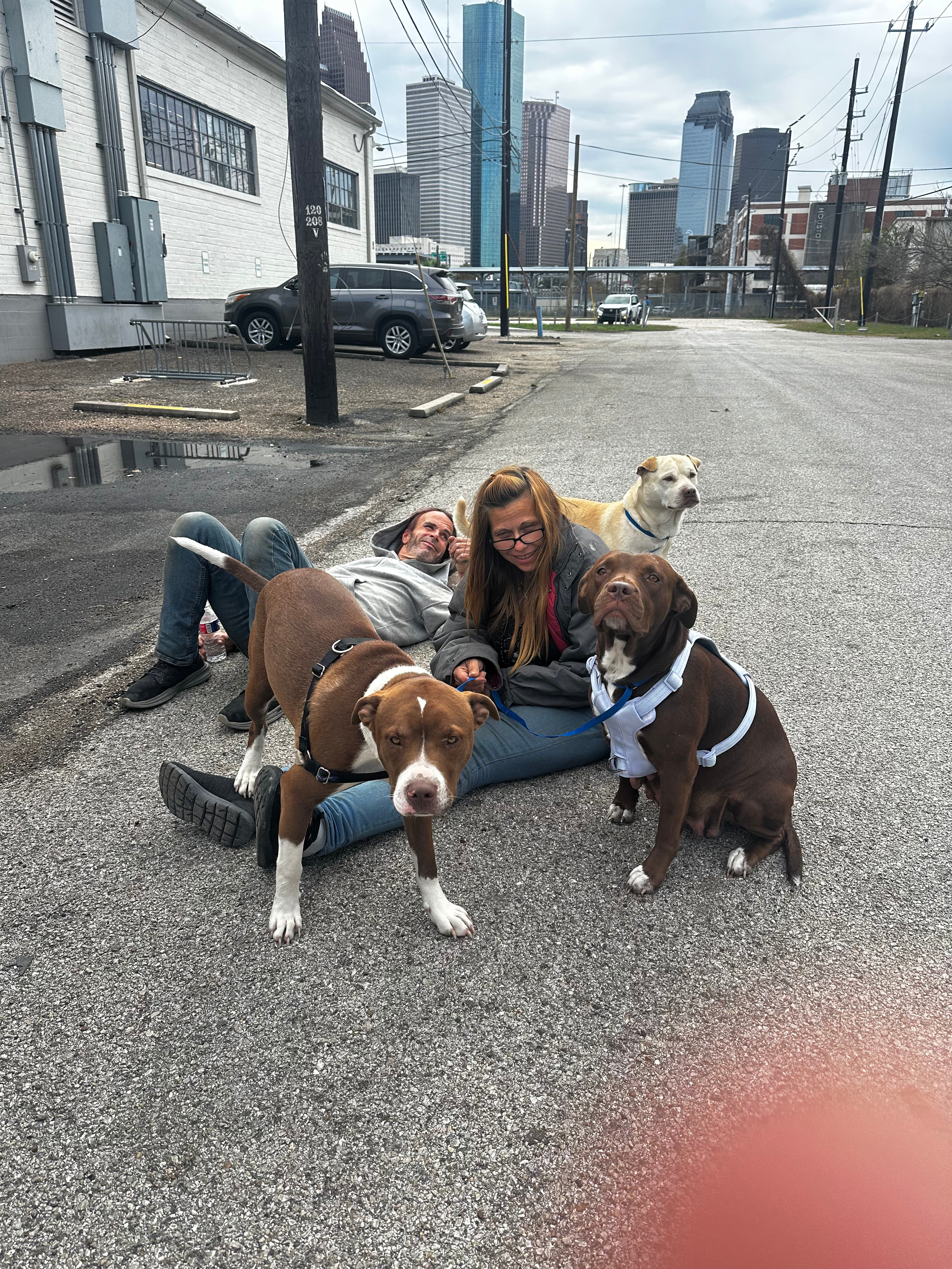 Untitled design (6).png