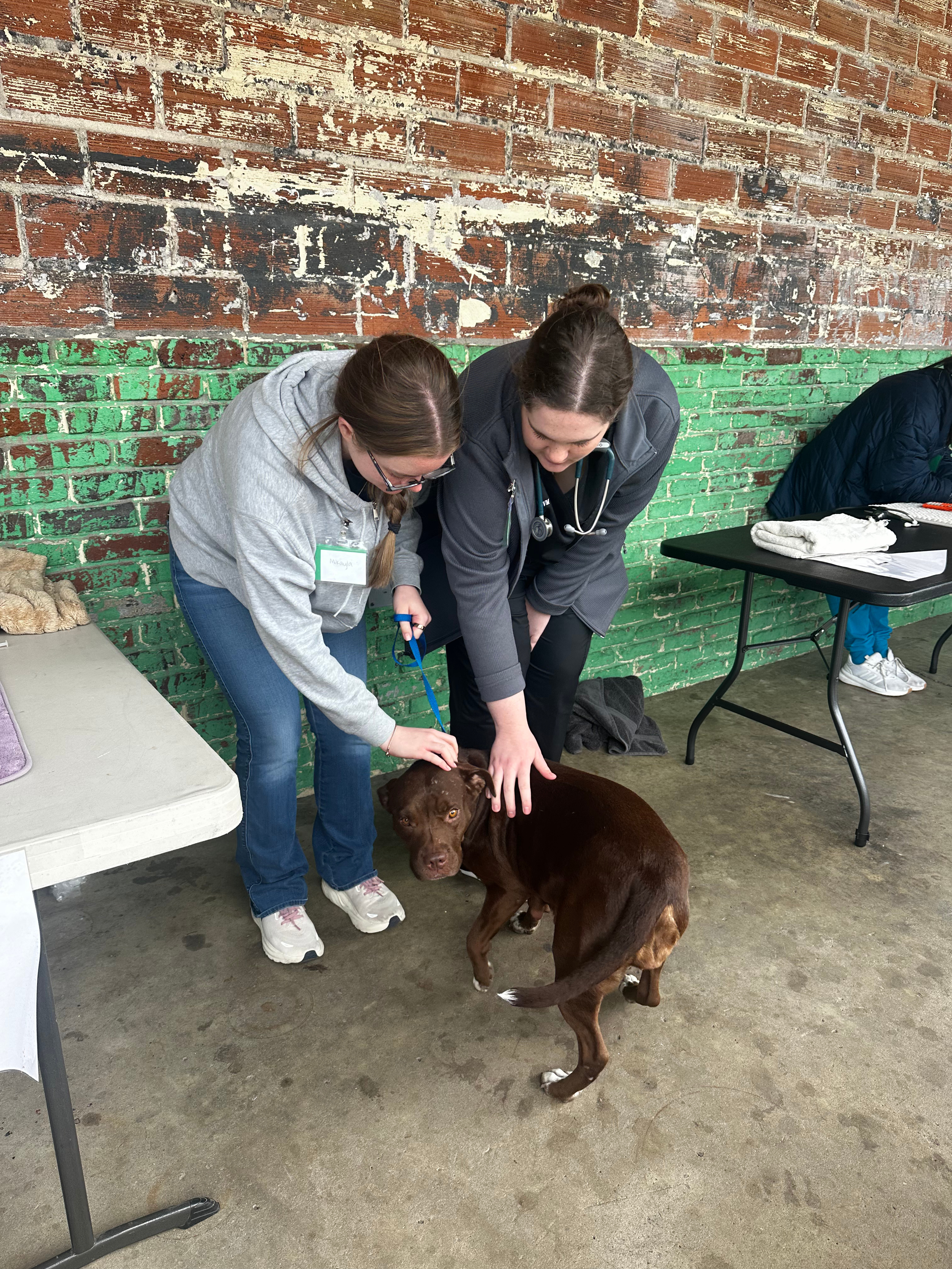 Untitled design (1).png