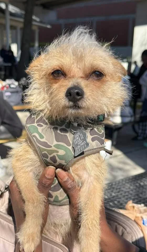 Do we have to do this TODAY_.JPG