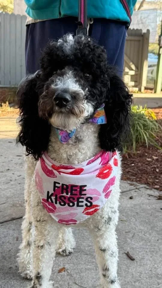 Zoe Angelica gives great kisses!.JPG