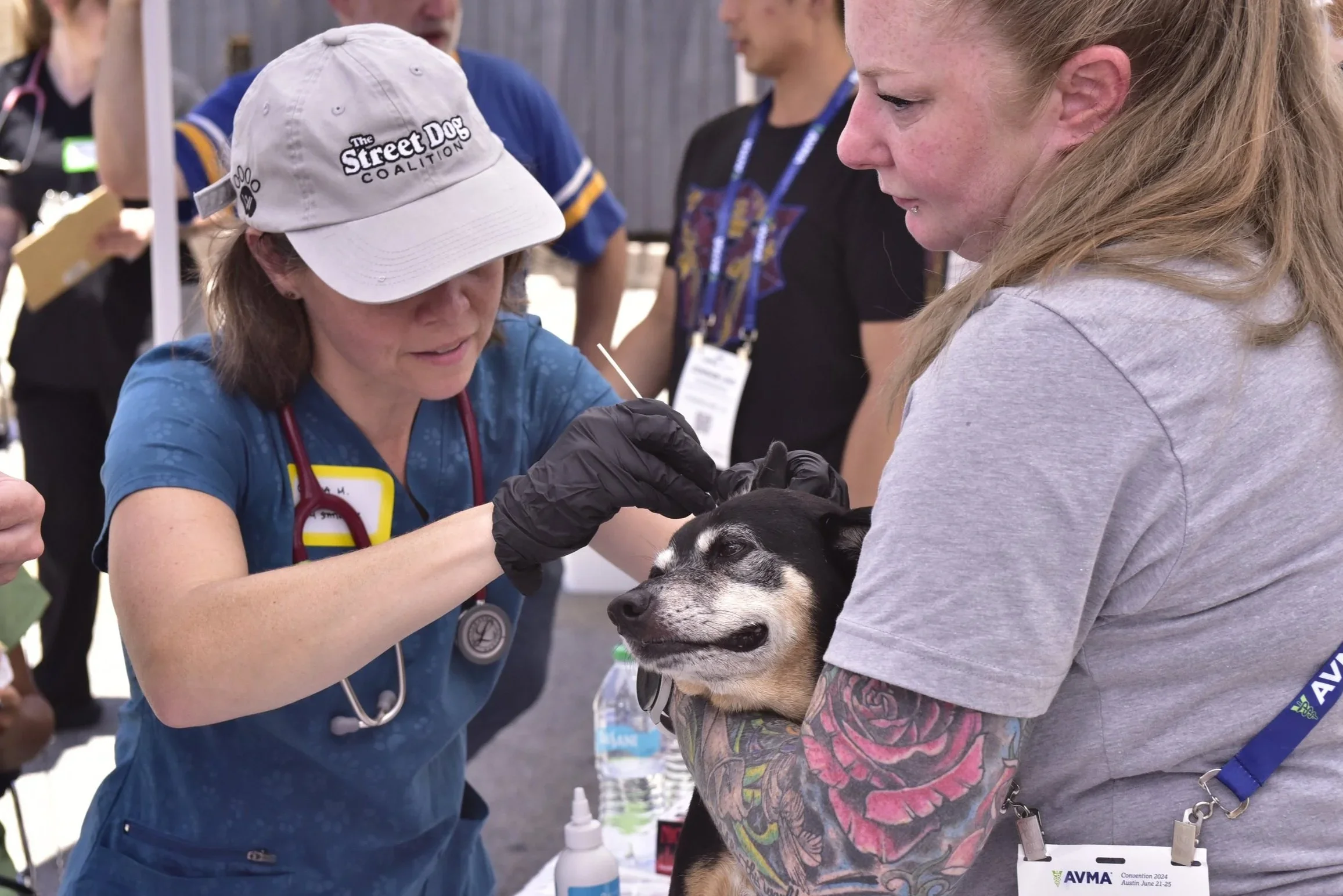 AVMA and Street Dog Coalition team up to aid homeless pets and owners in Austin