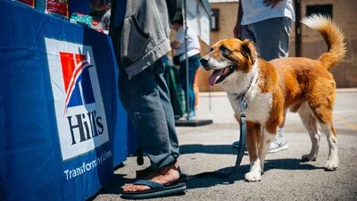 Hill’s Pet Nutrition and Colgate-Palmolive company partner with The Street Dog Coalition