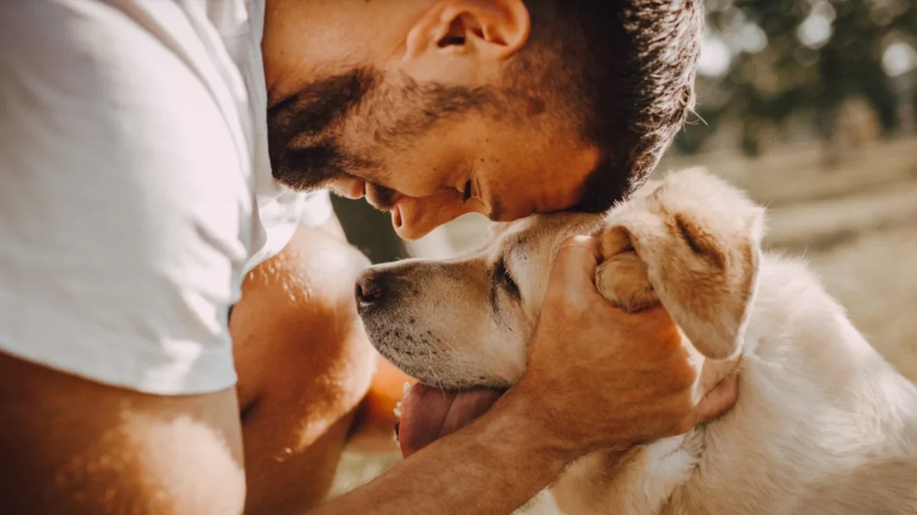 The Grey Muzzle Organization provides grant for care